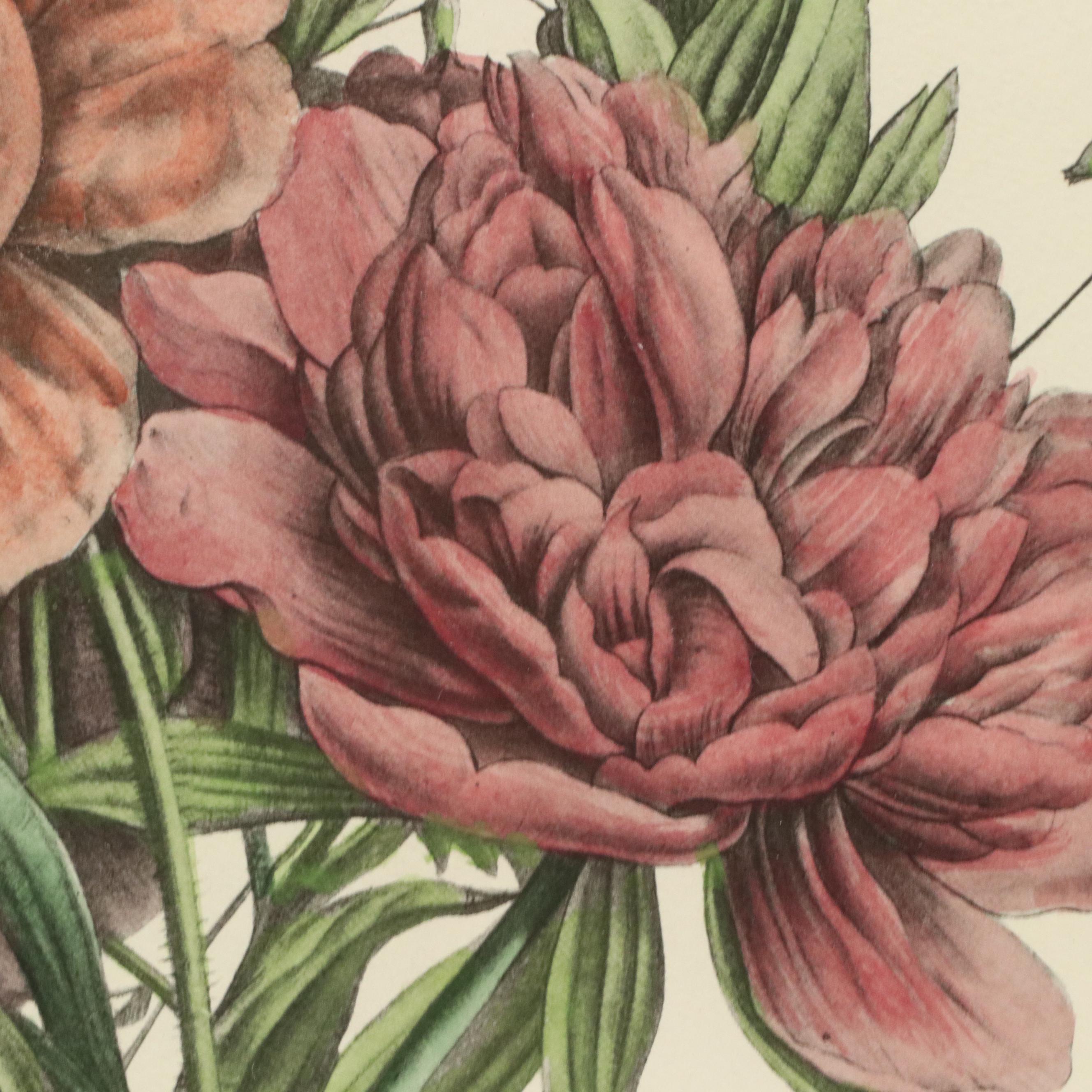 Botanical Halftone Prints After Jean-Louis Prévost