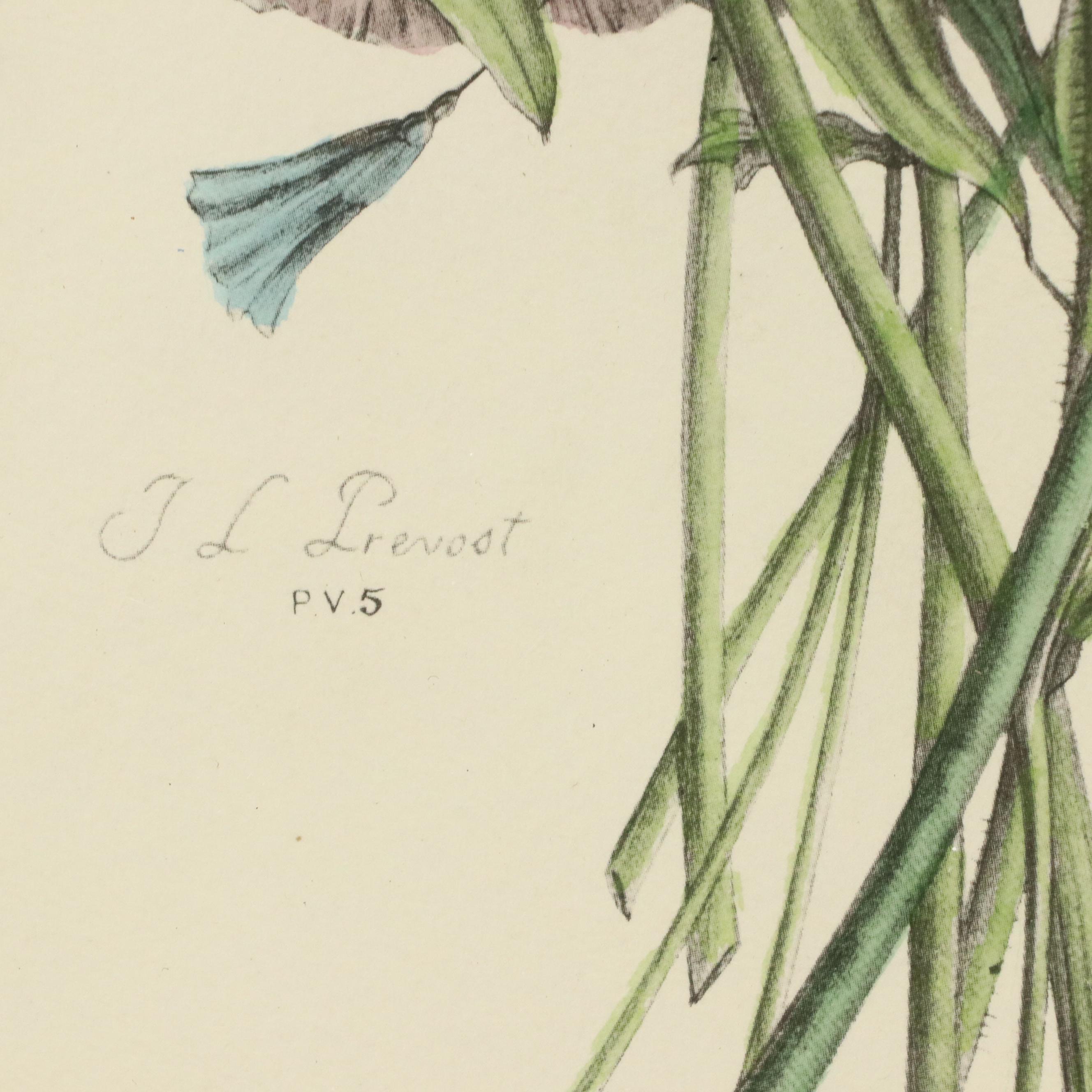 Botanical Halftone Prints After Jean-Louis Prévost