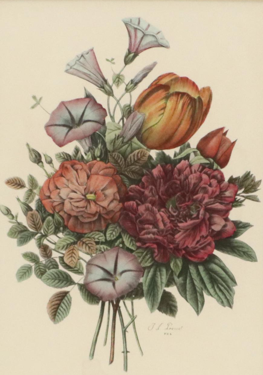 Botanical Halftone Prints After Jean-Louis Prévost