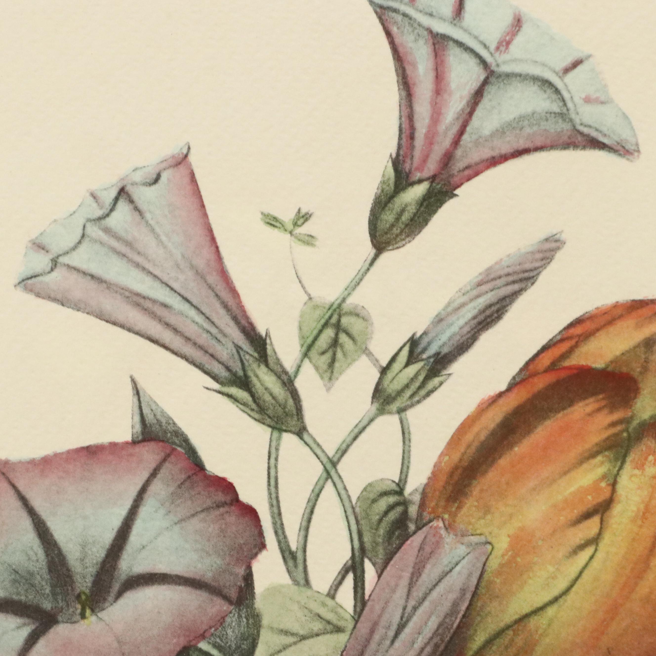 Botanical Halftone Prints After Jean-Louis Prévost