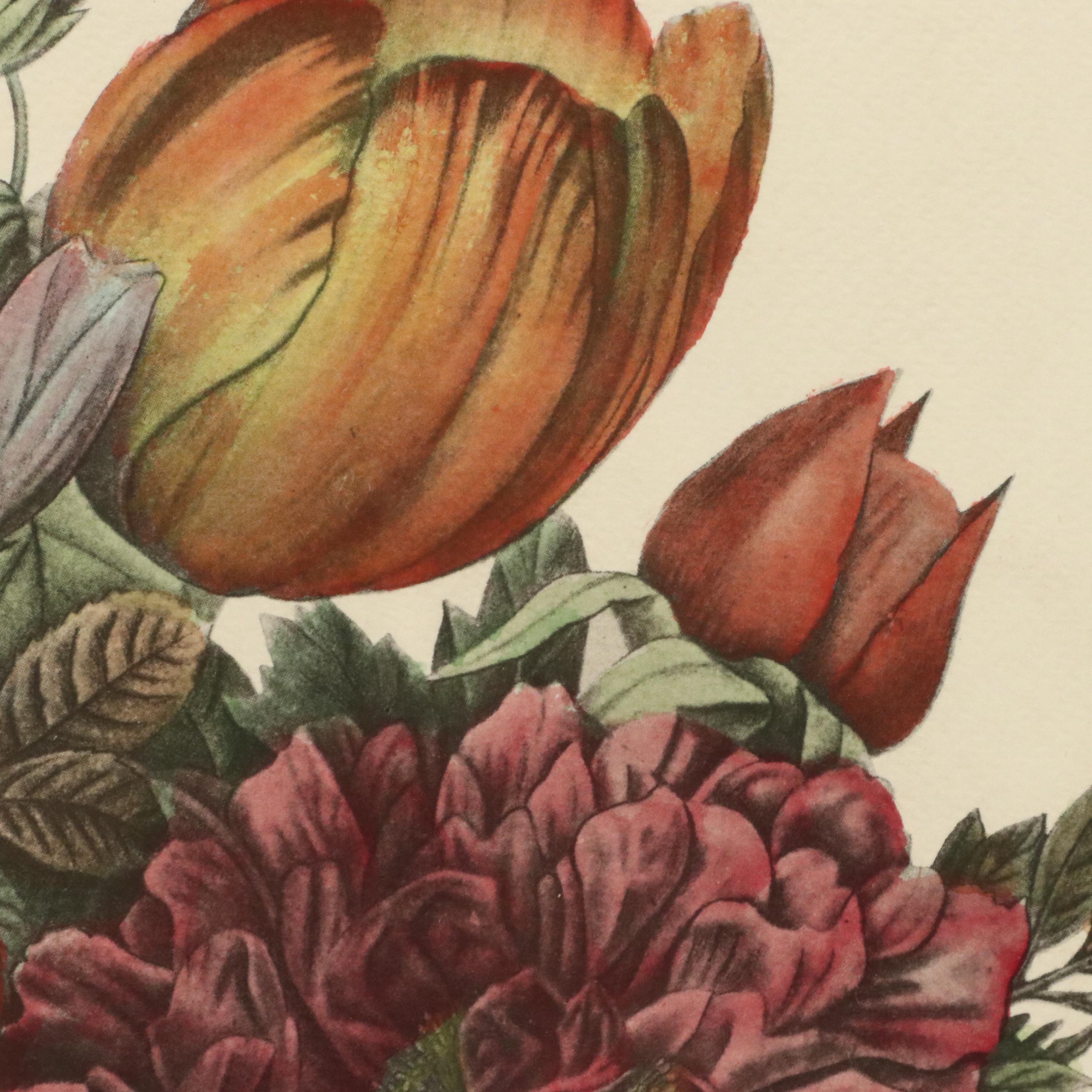 Botanical Halftone Prints After Jean-Louis Prévost