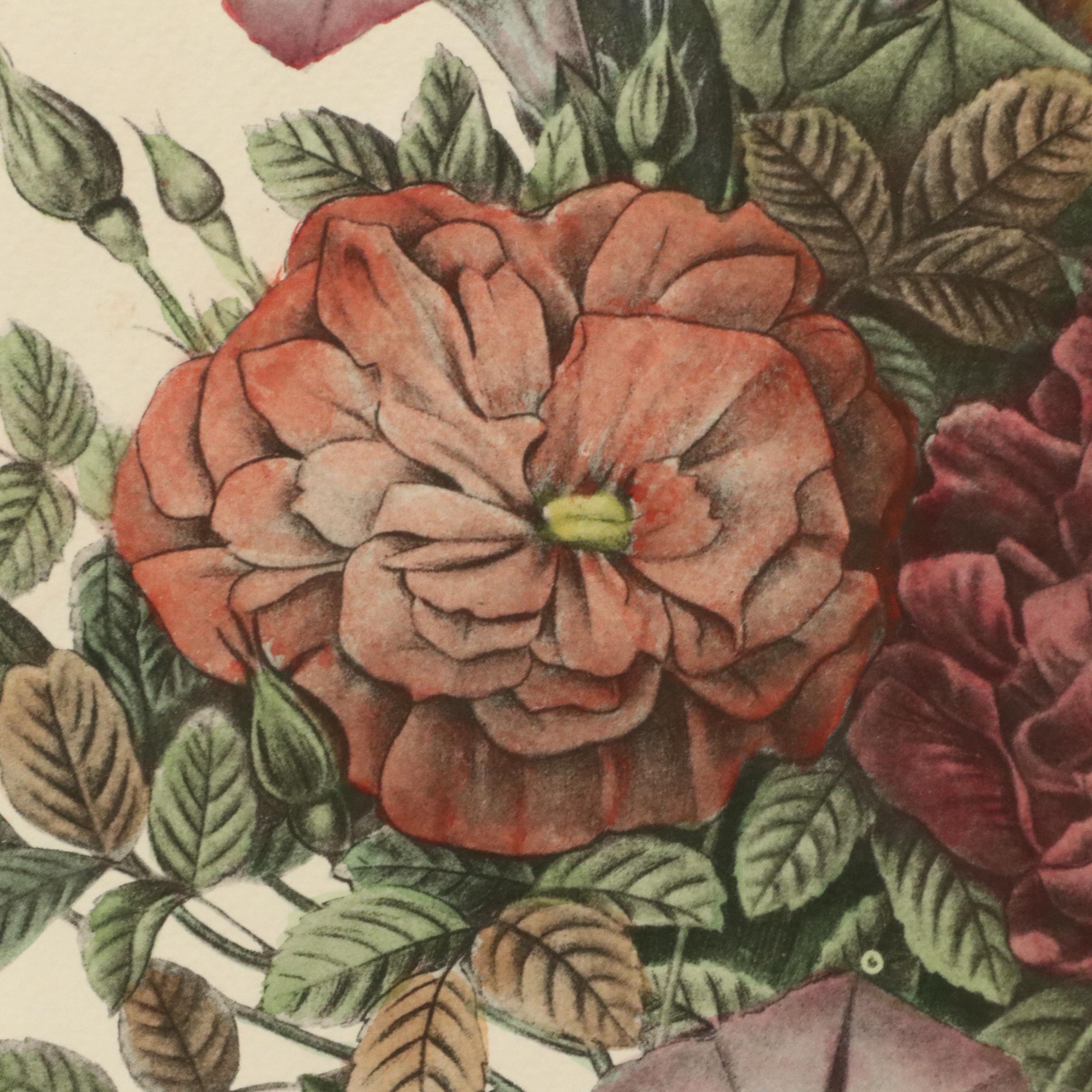 Botanical Halftone Prints After Jean-Louis Prévost