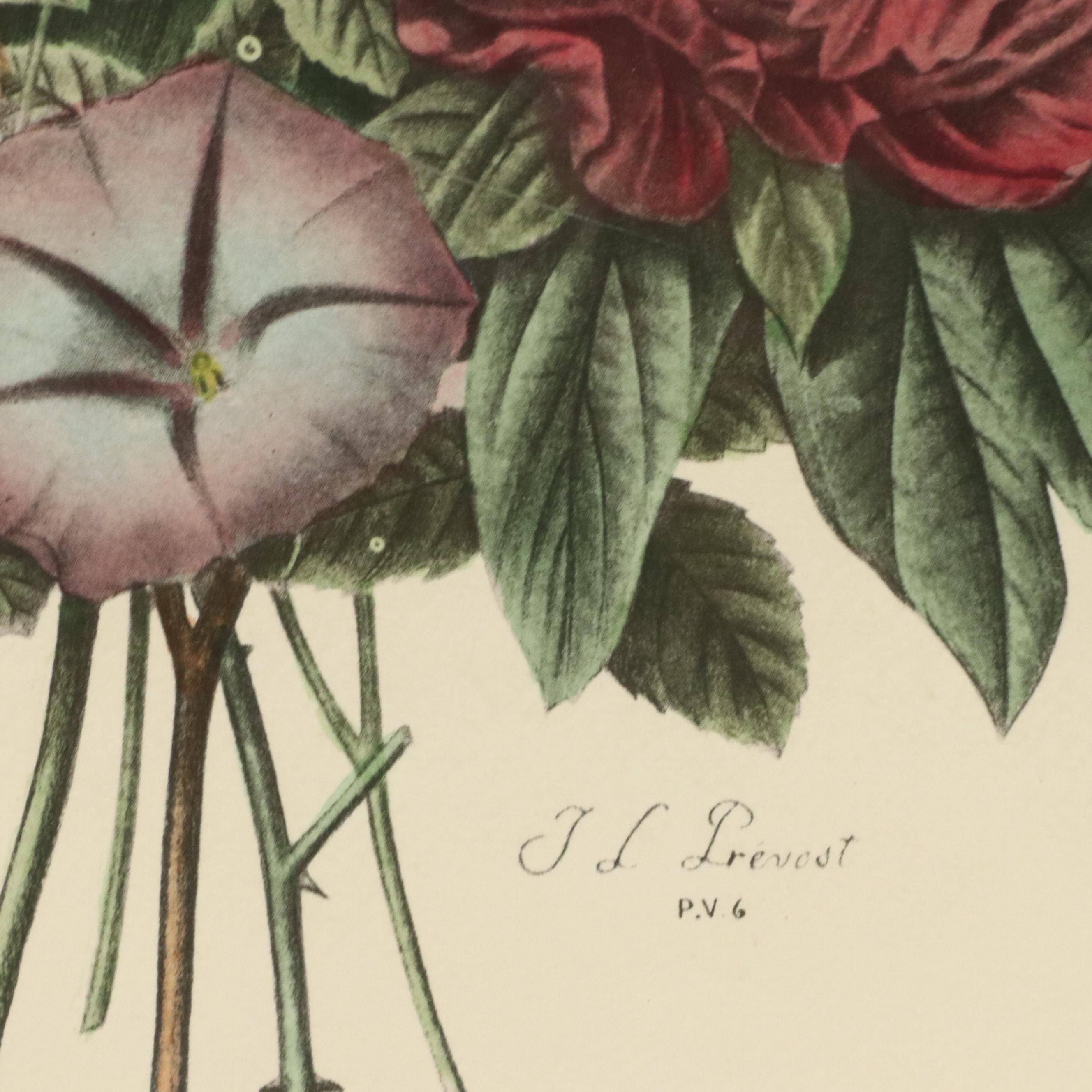 Botanical Halftone Prints After Jean-Louis Prévost