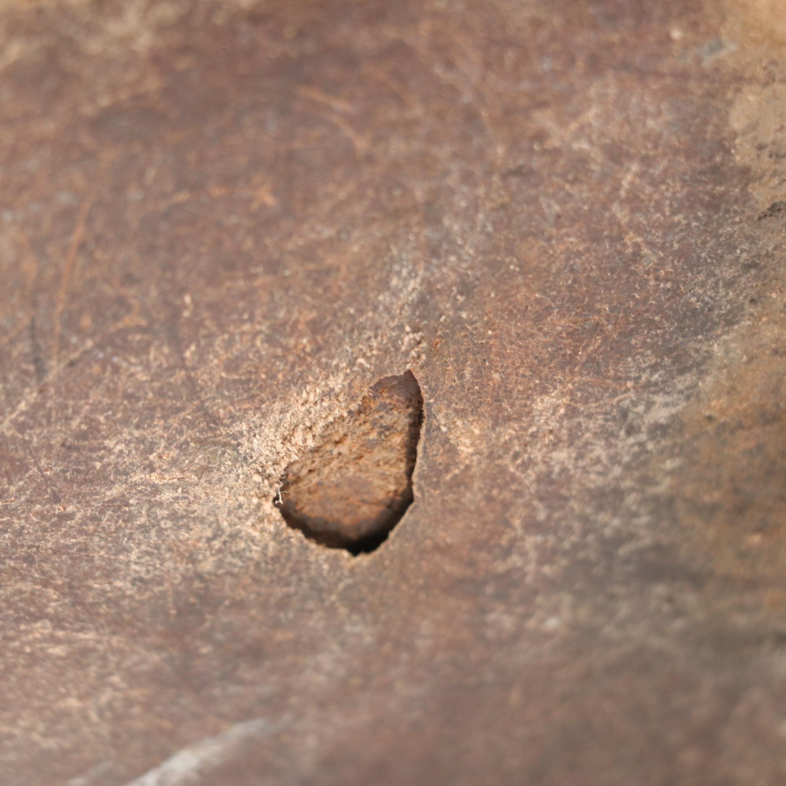 Men's Ferrini Caiman and Leather Western Boots