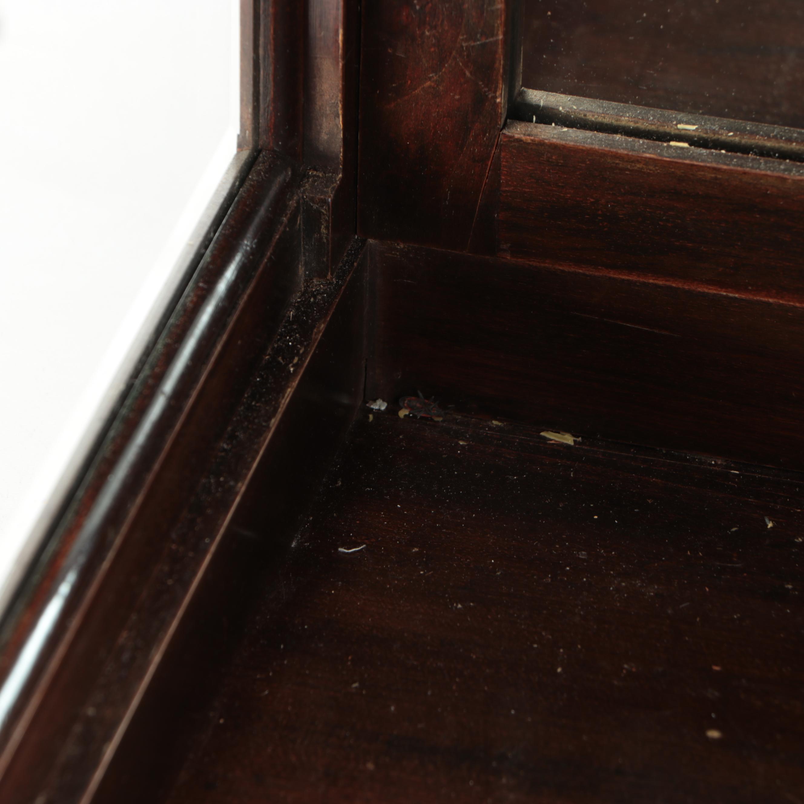 Mirrored Back Illuminated Wood and Glass Display Cabinet