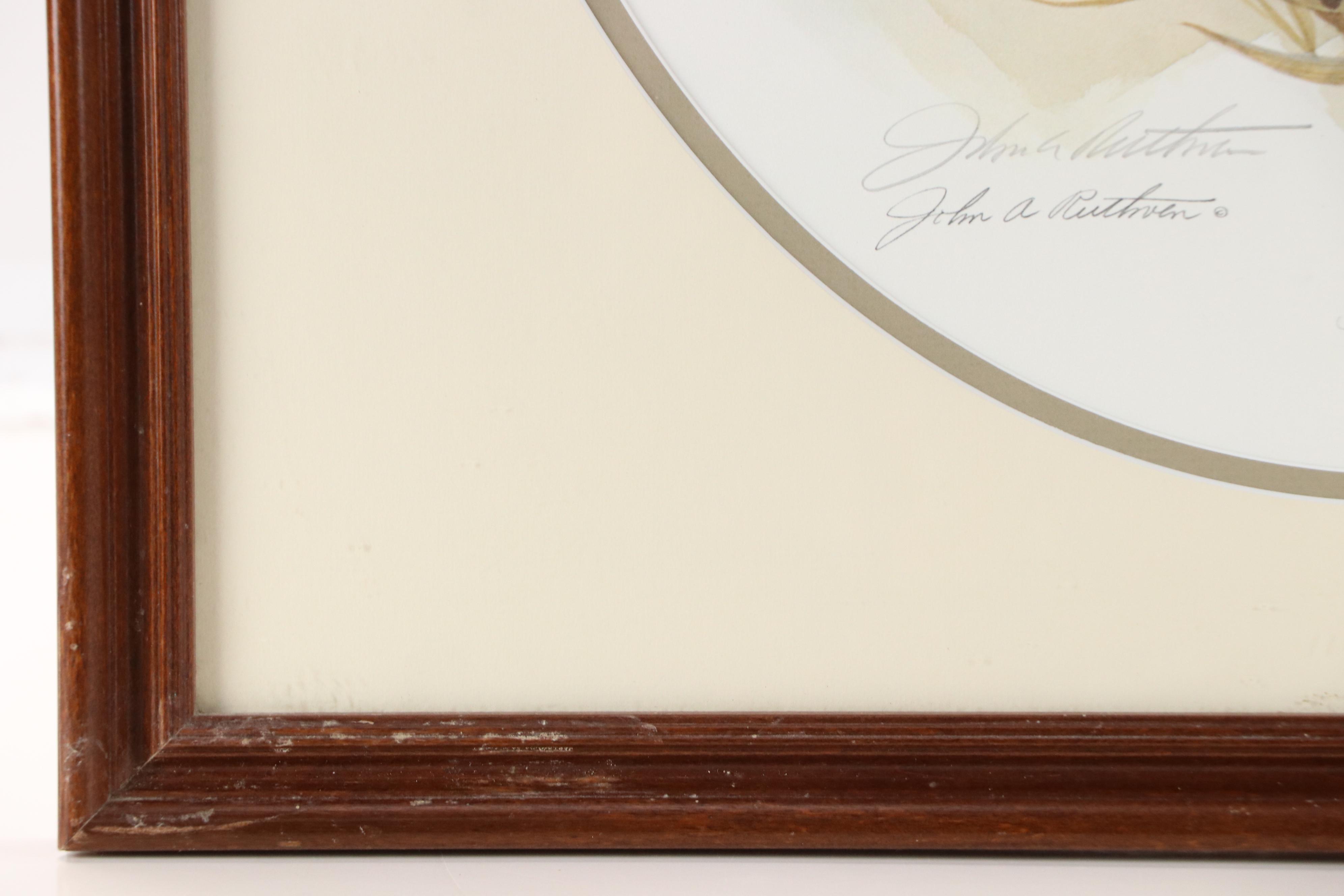 John A. Ruthven Offset Lithograph "Cardinals"