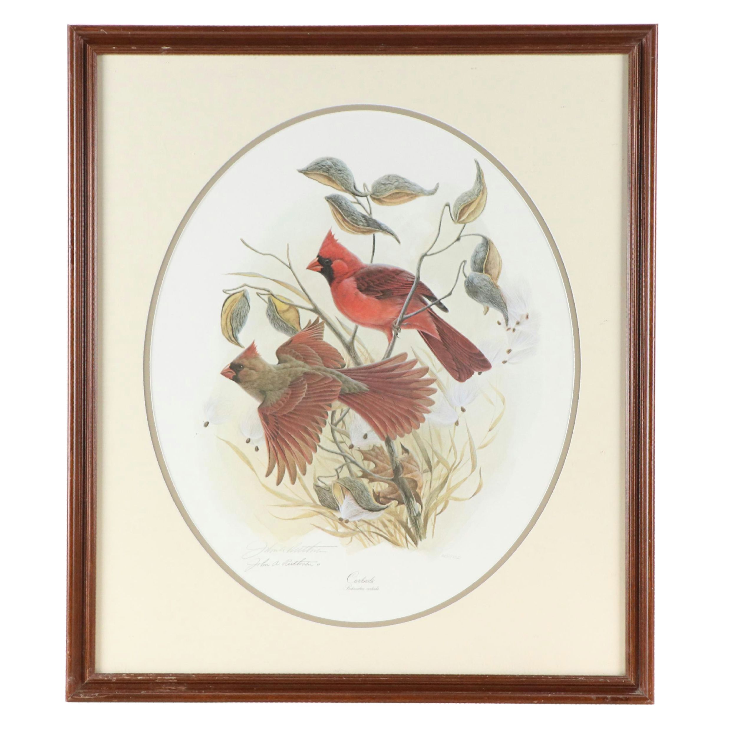 John A. Ruthven Offset Lithograph "Cardinals"