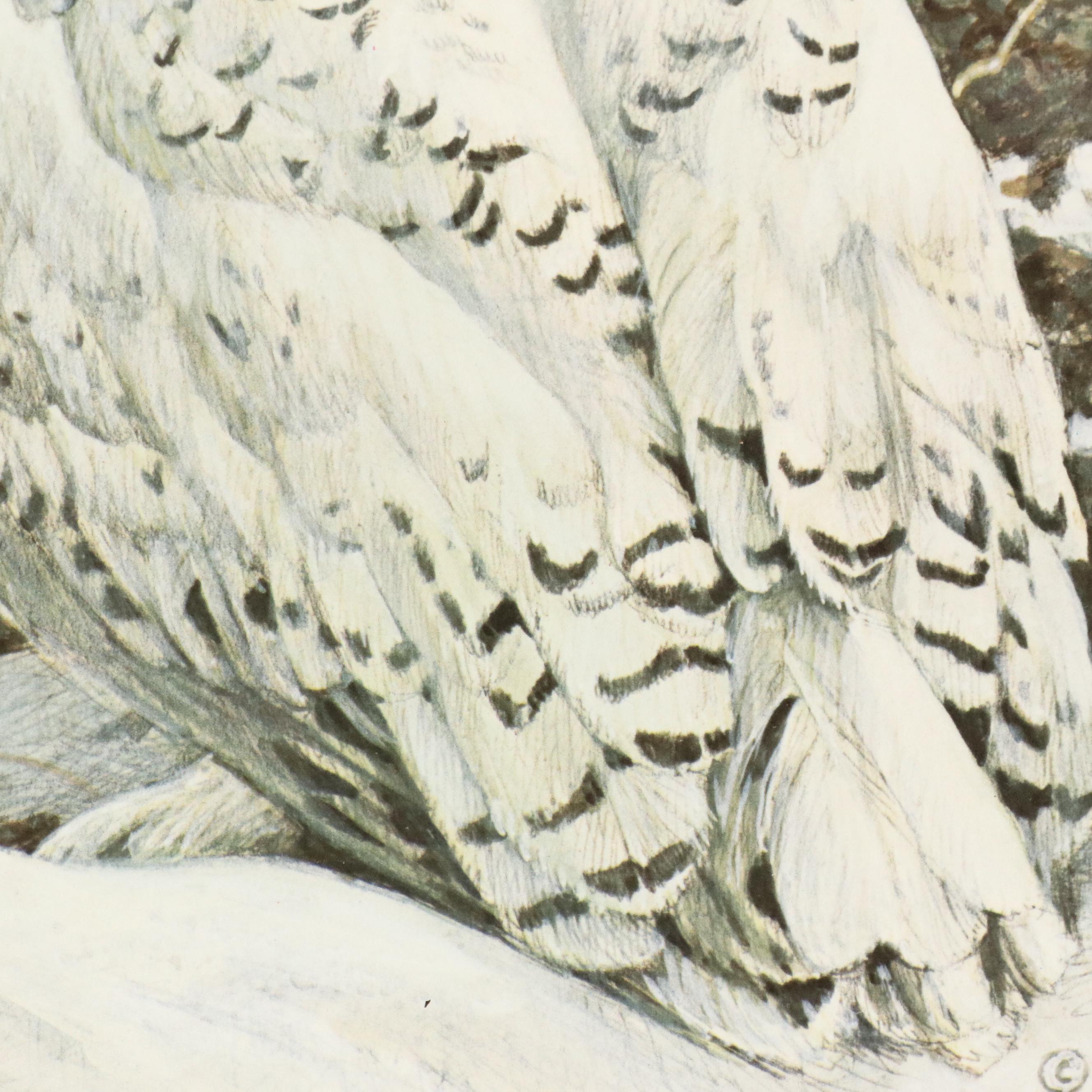 Robert M. Bateman Offset Lithograph "Plowed Field - Snowy Owl," 1987