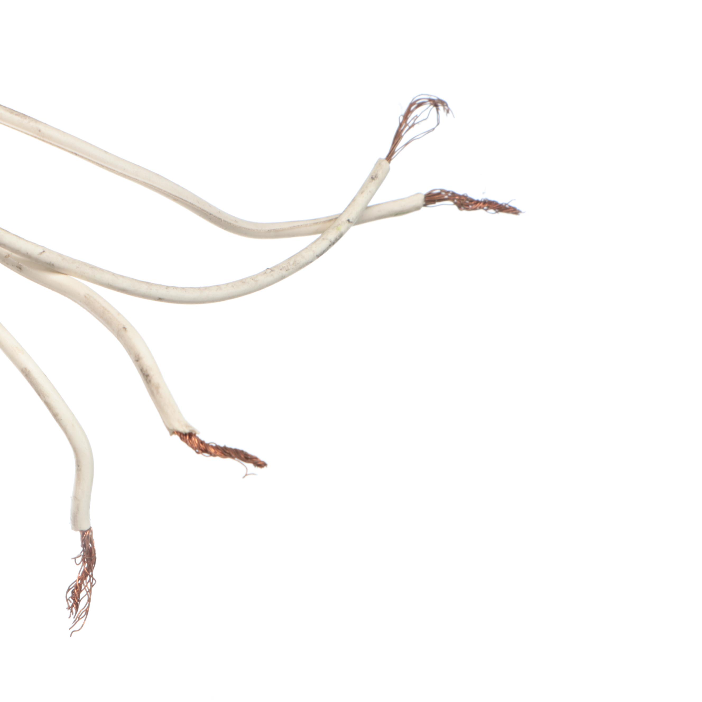 Italianate Mid Century Style Tole Painted Flower Chandelier, Vintage