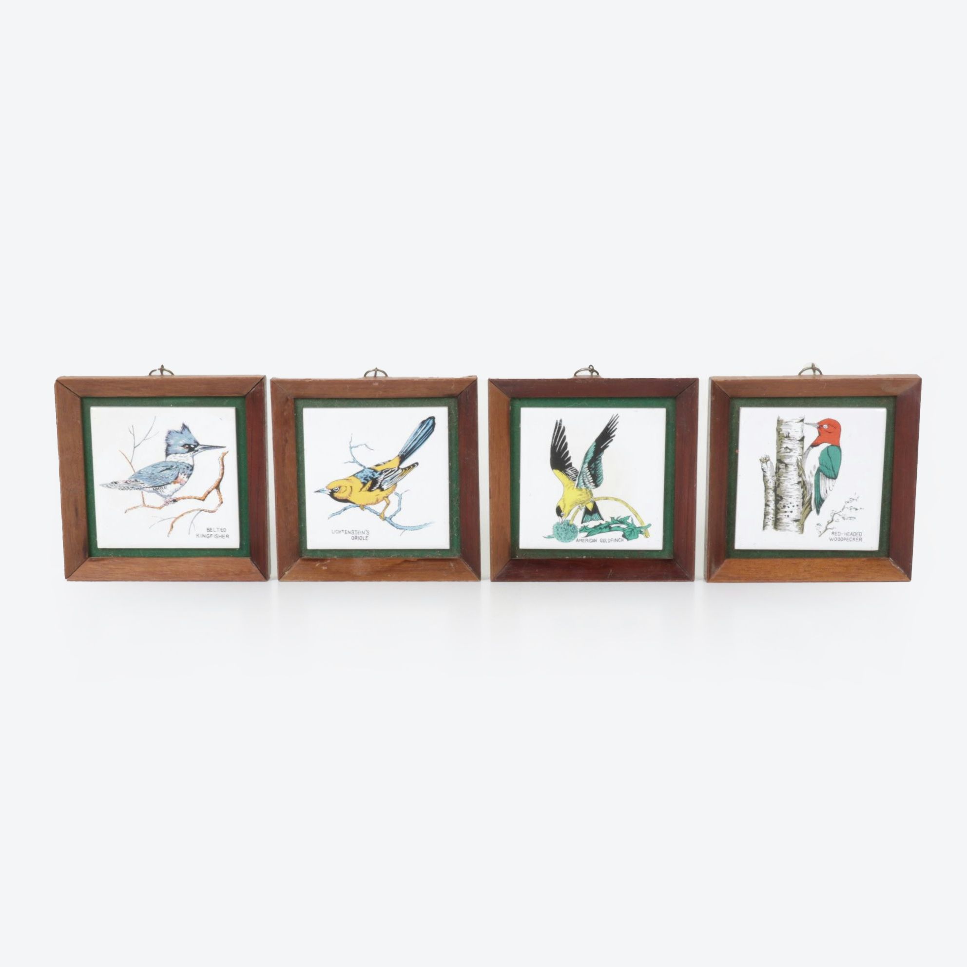 Red-Headed Woodpecker & Other Illustrated Tile Wall Frames
