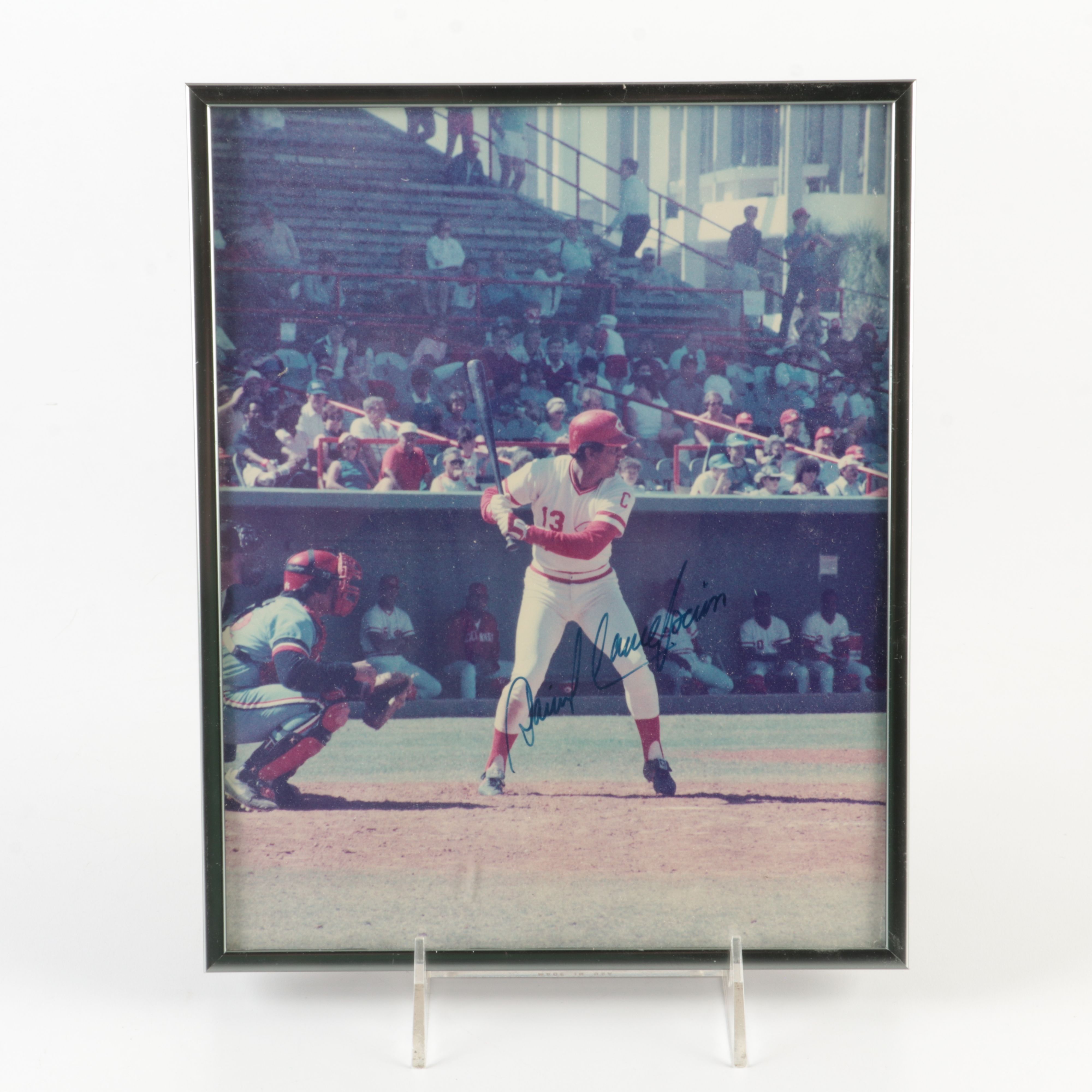 Four Cincinnati Reds Signed and Framed Photos, Including Perez and Concepcion