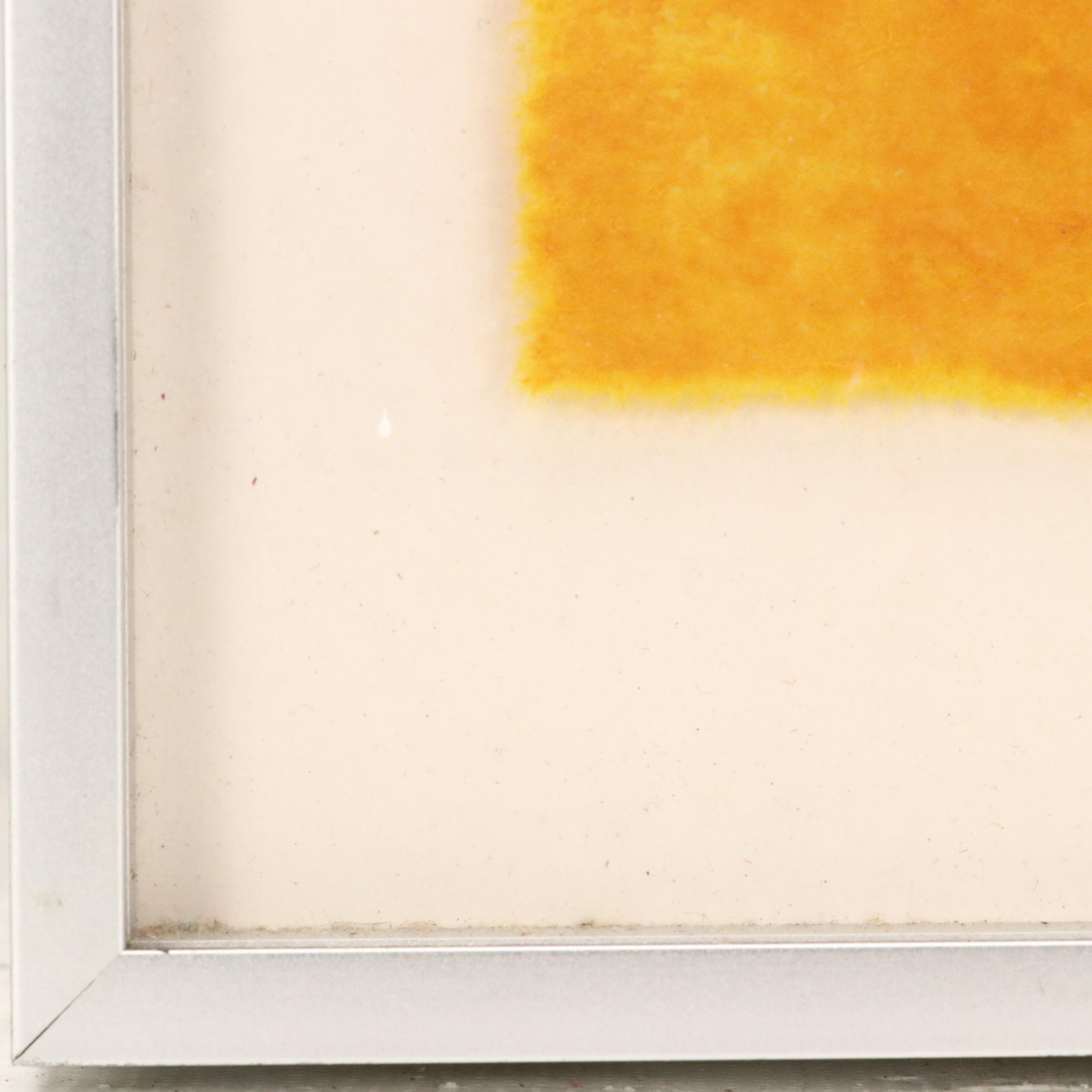 Carol Summer Woodcut "The Raja's Aviary"