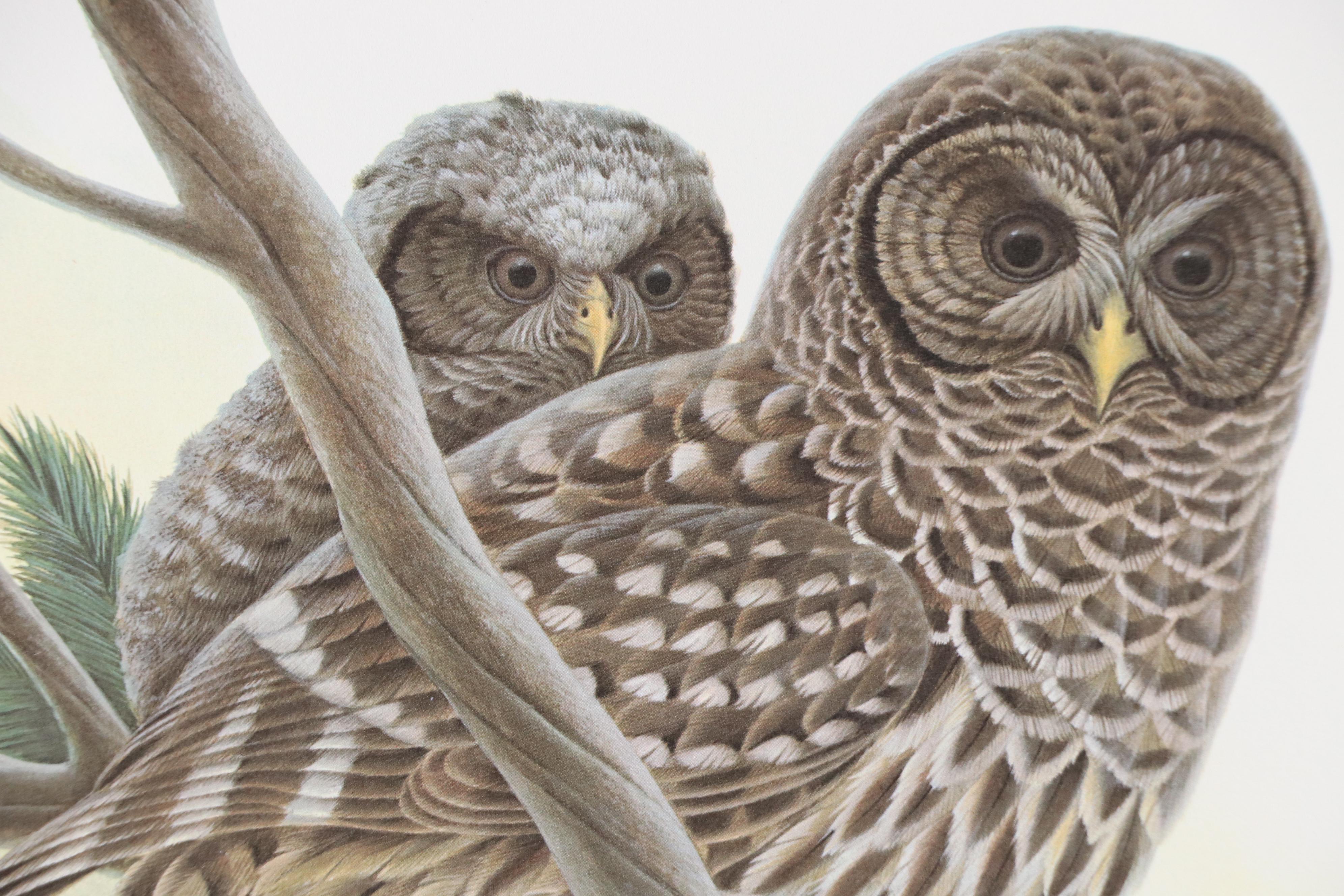 John A. Ruthven Offset Lithograph "Barred Owls," 1979