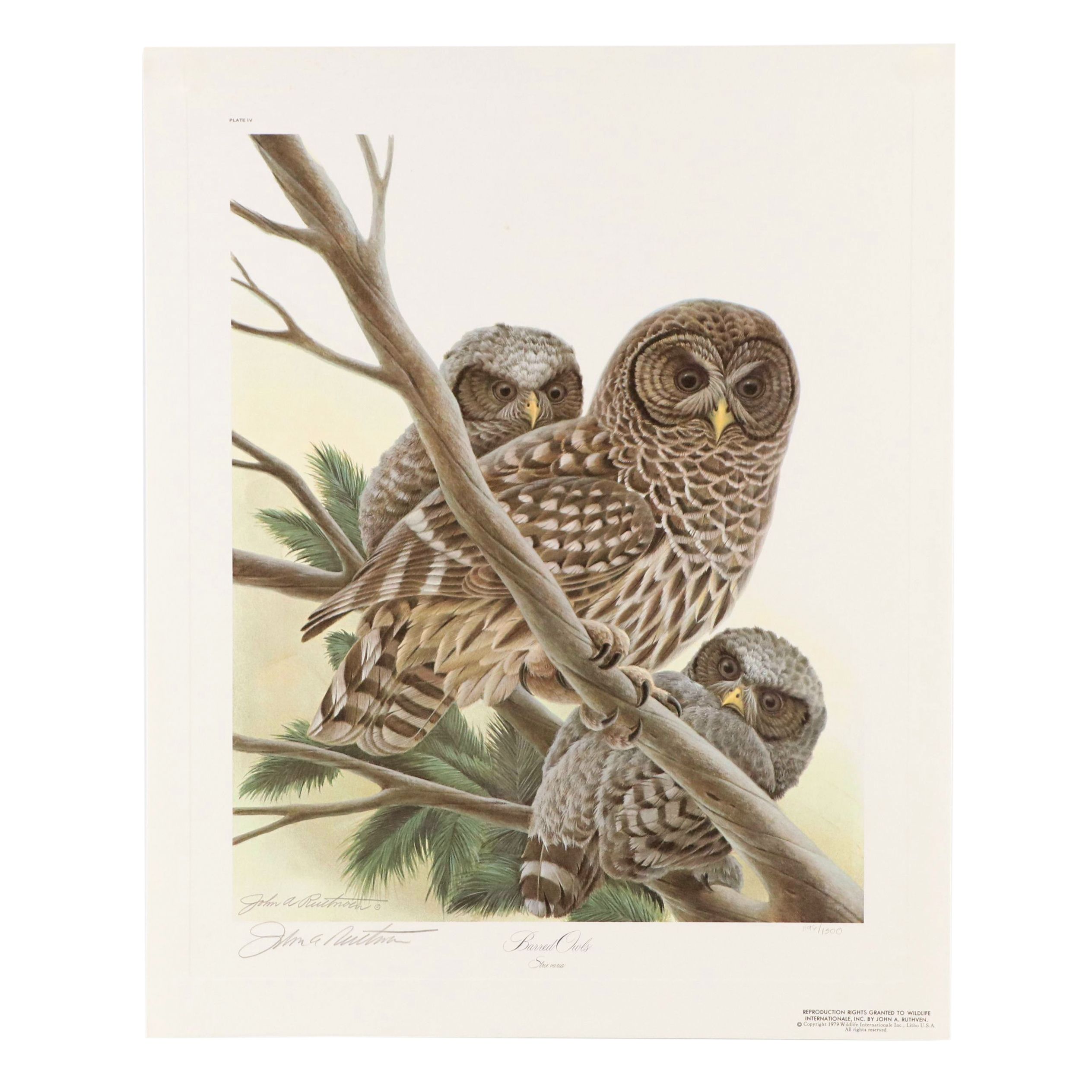 John A. Ruthven Offset Lithograph "Barred Owls," 1979