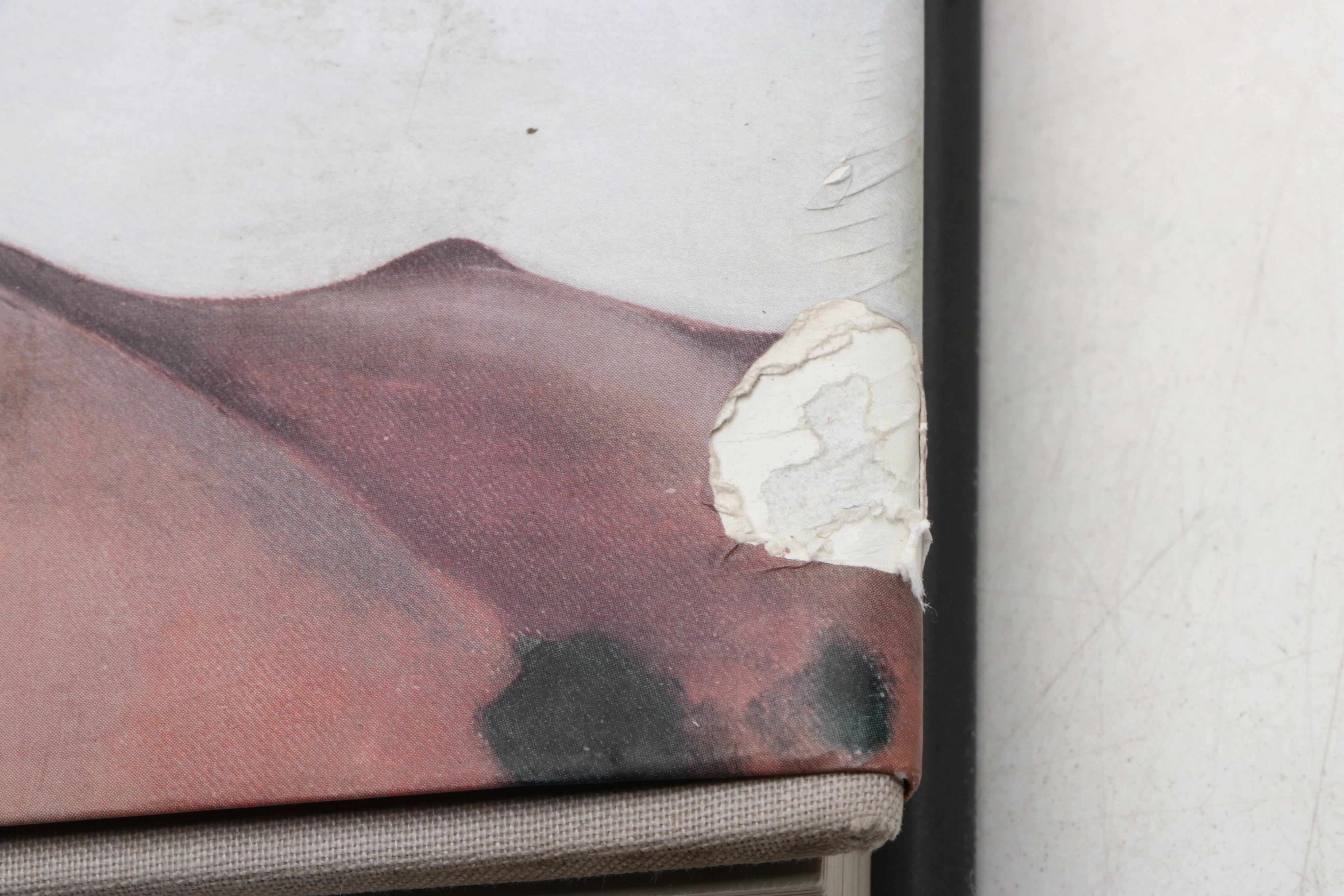 First Edition "Georgia O'Keeffe: In the West" Edited by Bry and Callaway, 1989