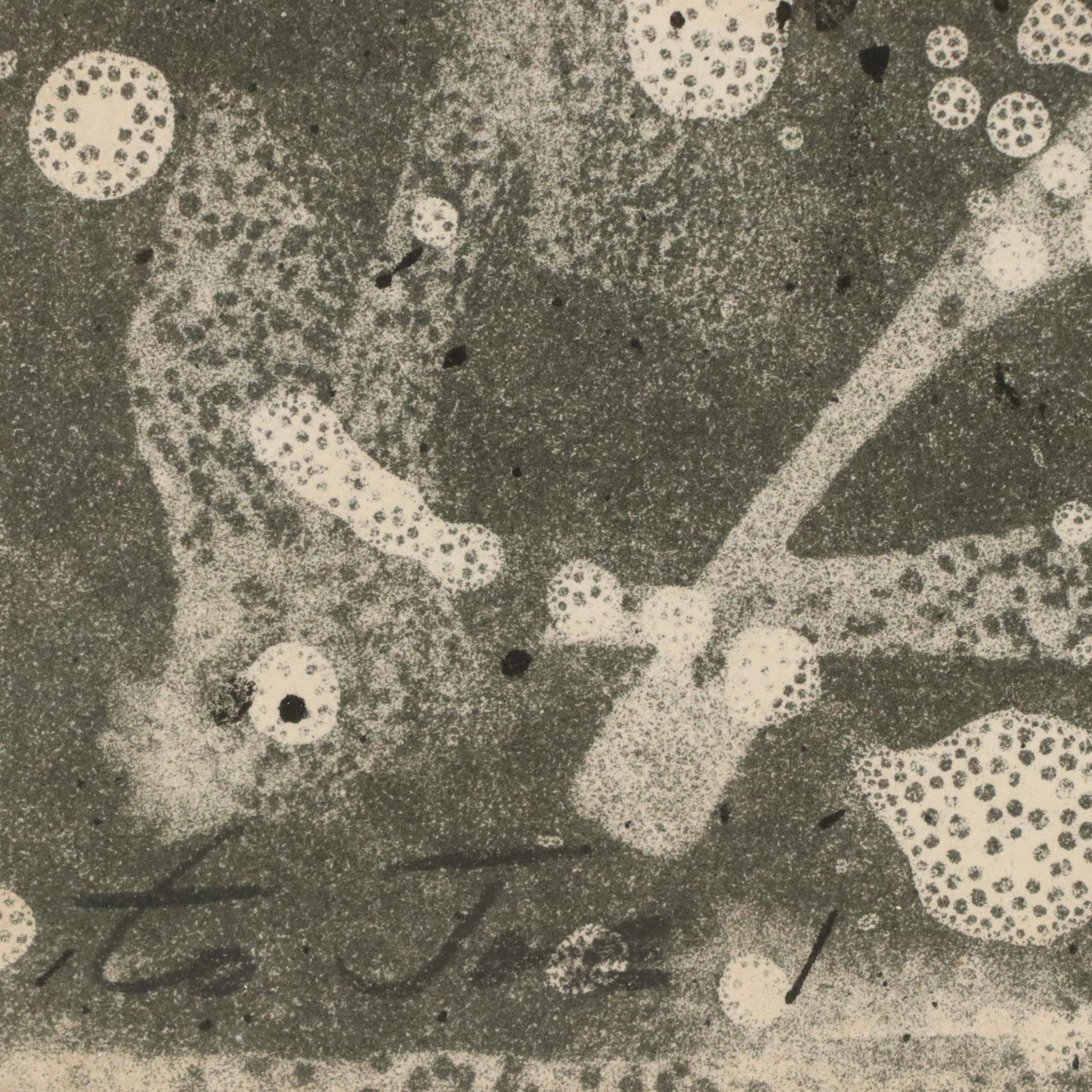 Adja Yunkers Abstract Color Lithograph "Salt V," 1960