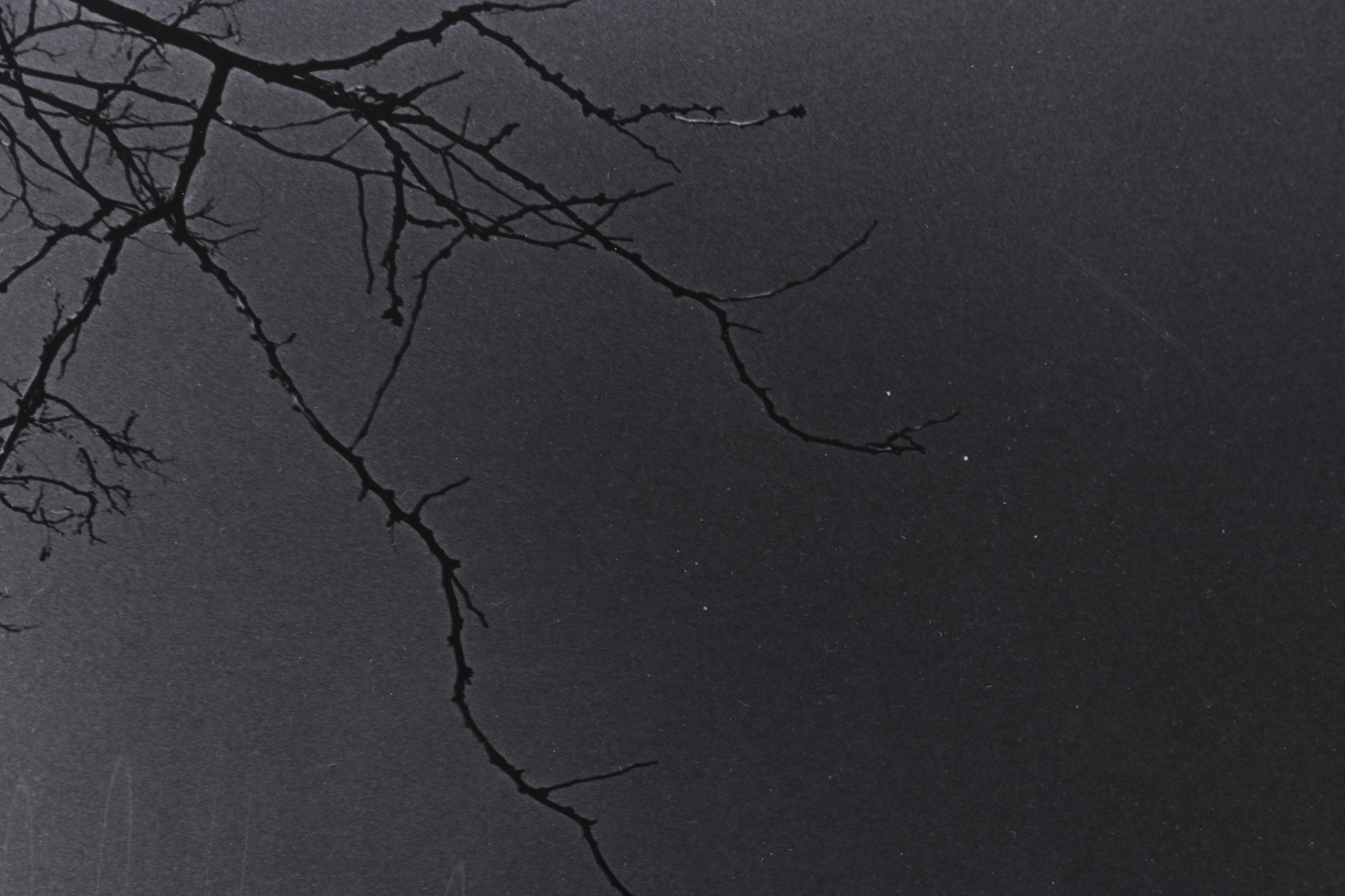 Joseph Flack Weiler Black & White Photograph Abstract View of Pueblo Facade