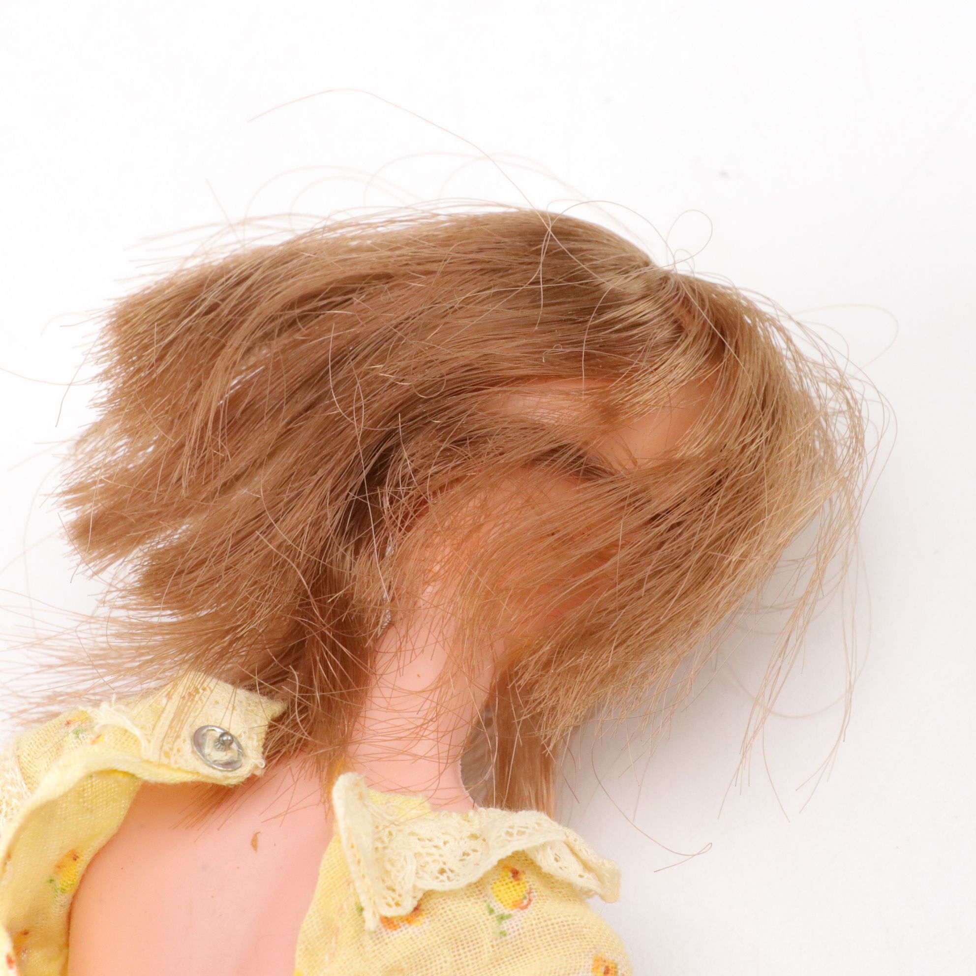 Mattel's "Swan Lake" Ken with Cowardly Lion, Dennis Rodman & Other Dolls