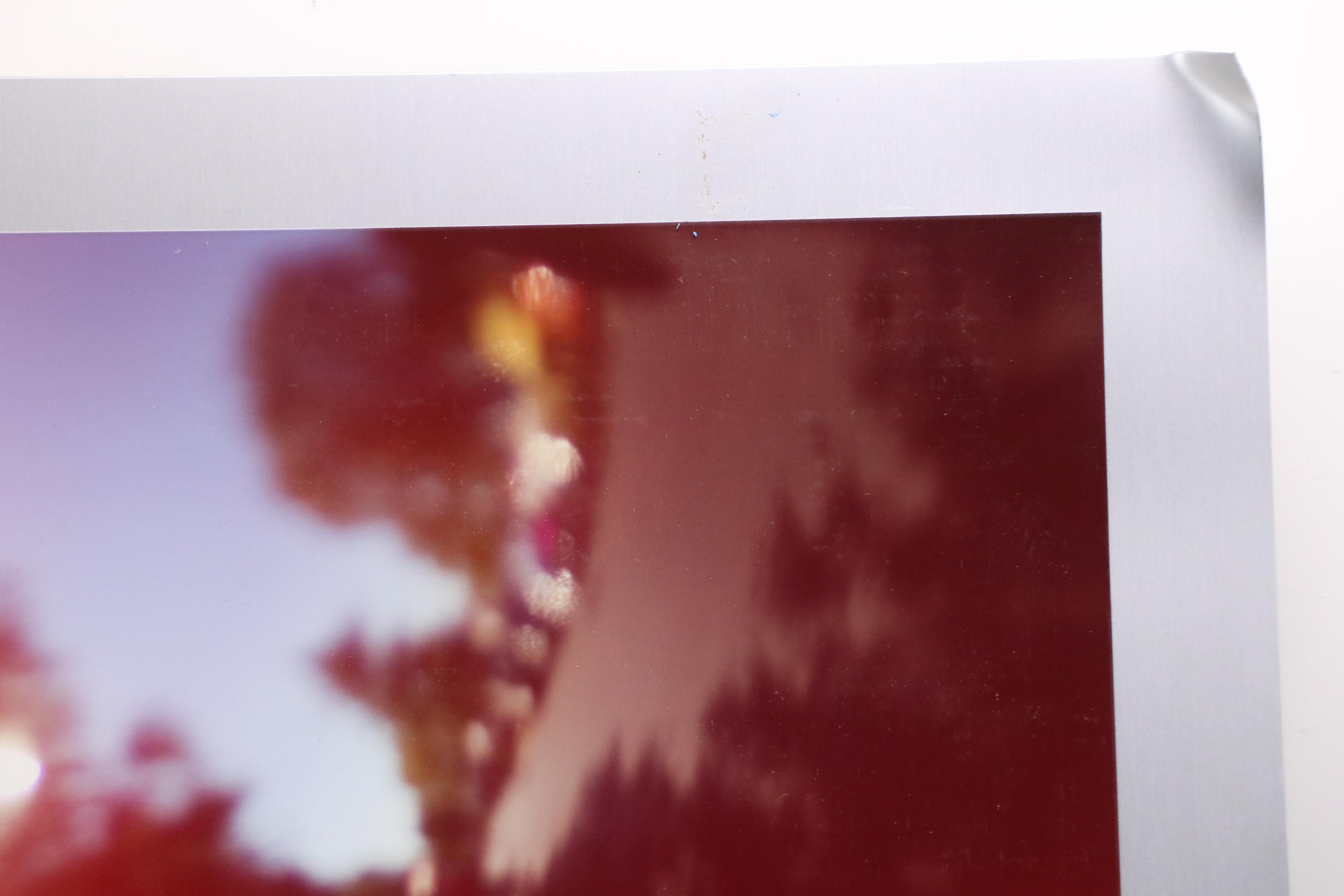 Contemporary Photographs of Roulette Wheel and Moving Car, Mounted to Metal