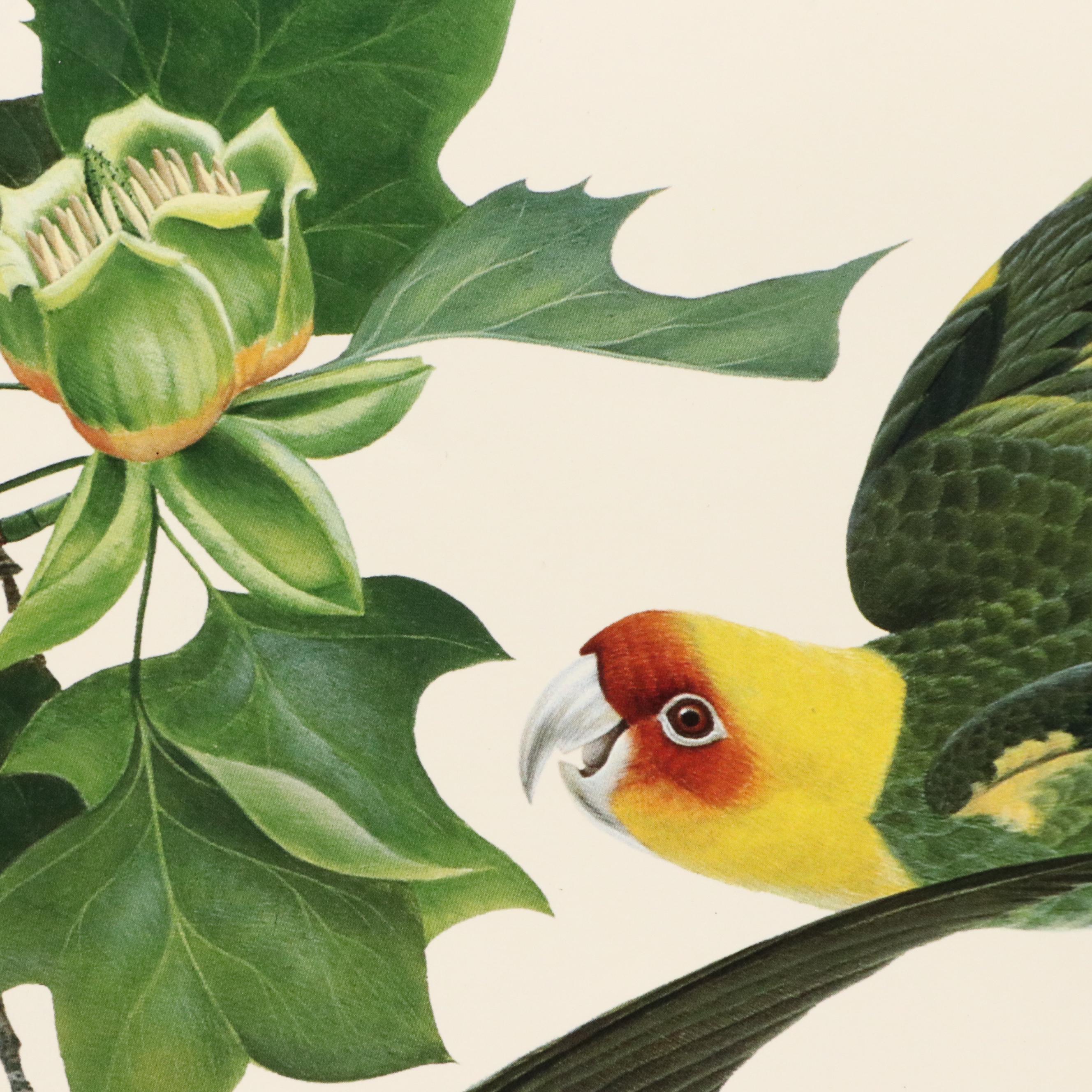 Cincinnati Art Museum Exhibition Posters After John Ruthven and More