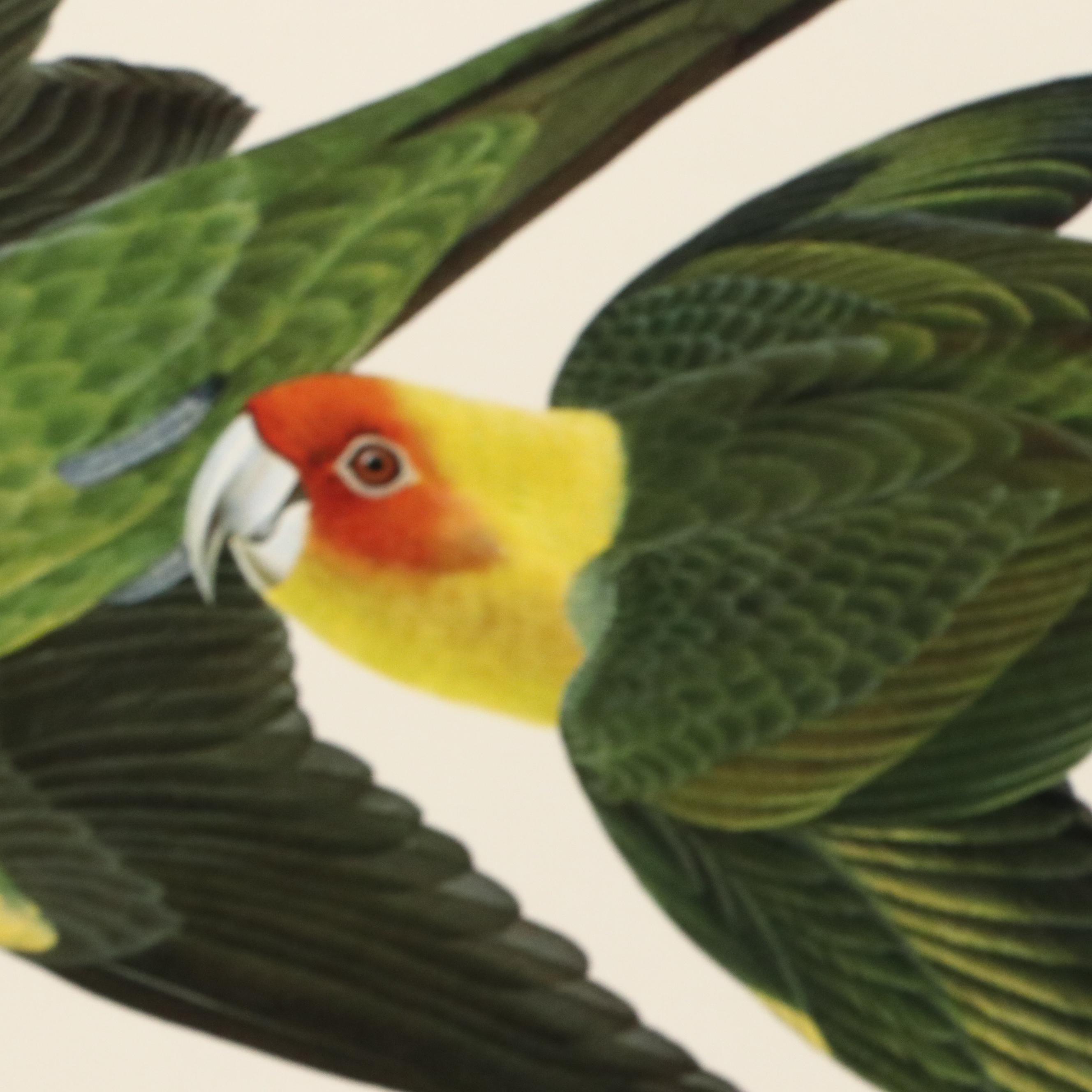 Cincinnati Art Museum Exhibition Posters After John Ruthven and More