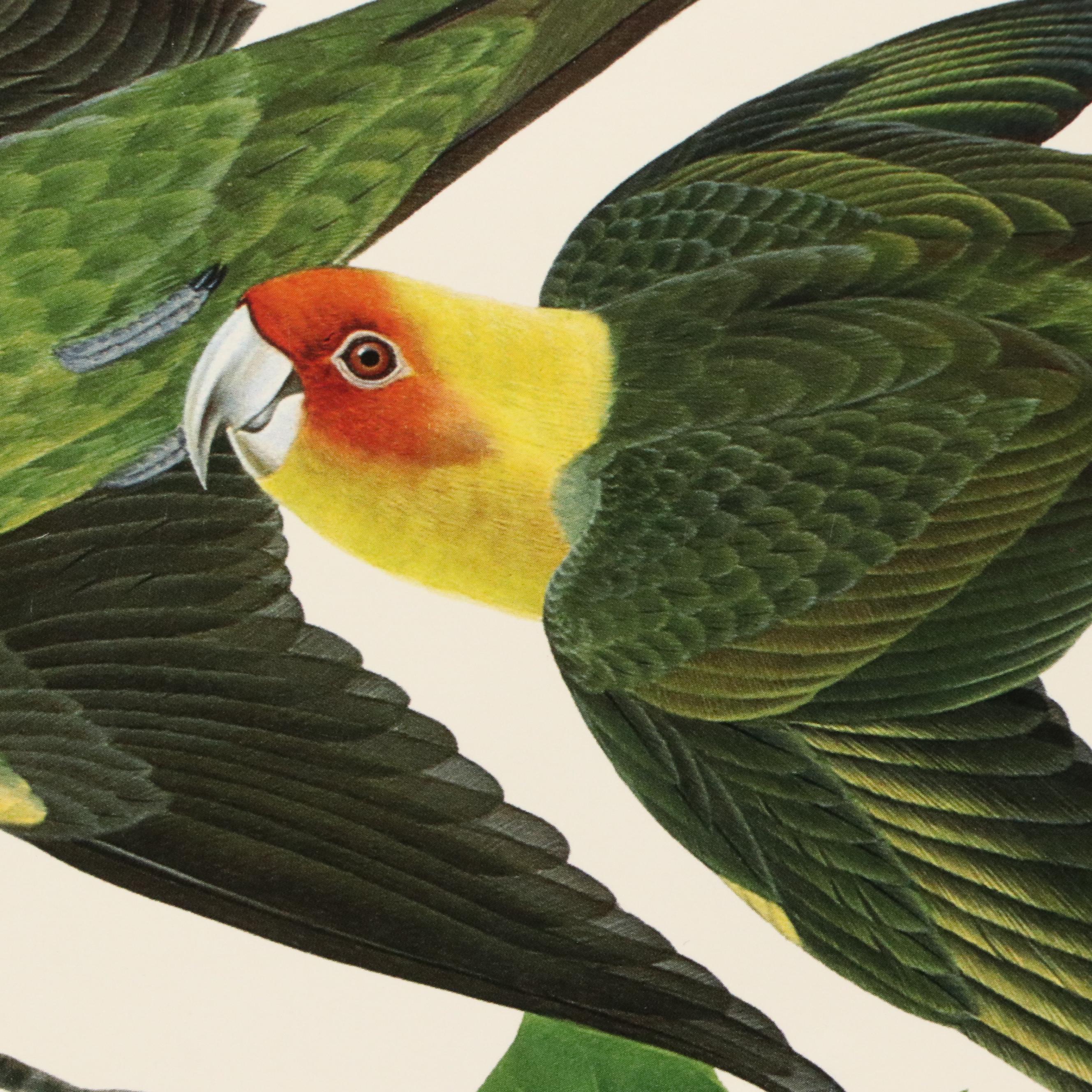 Cincinnati Art Museum Exhibition Posters After John Ruthven and More