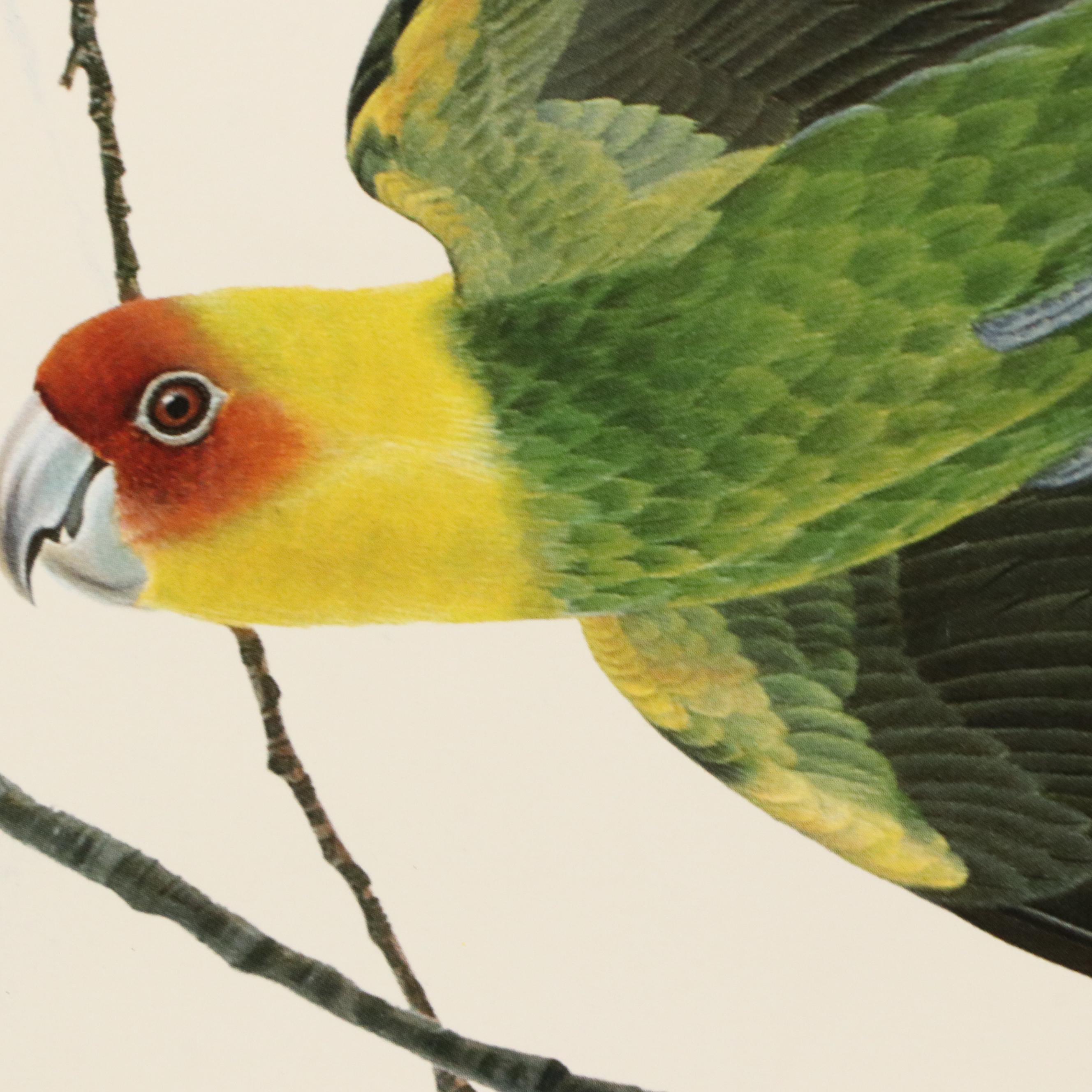 Cincinnati Art Museum Exhibition Posters After John Ruthven and More