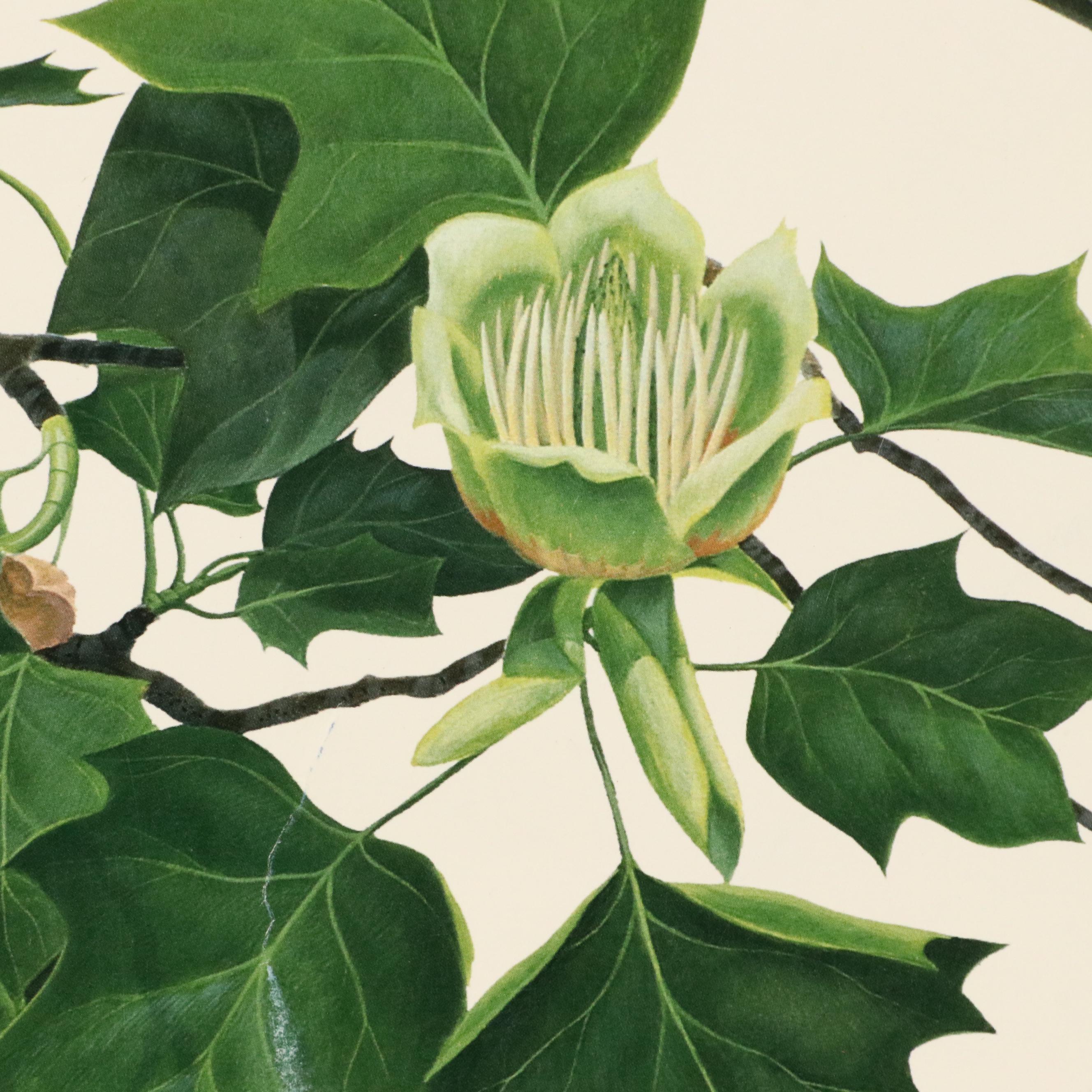 Cincinnati Art Museum Exhibition Posters After John Ruthven and More