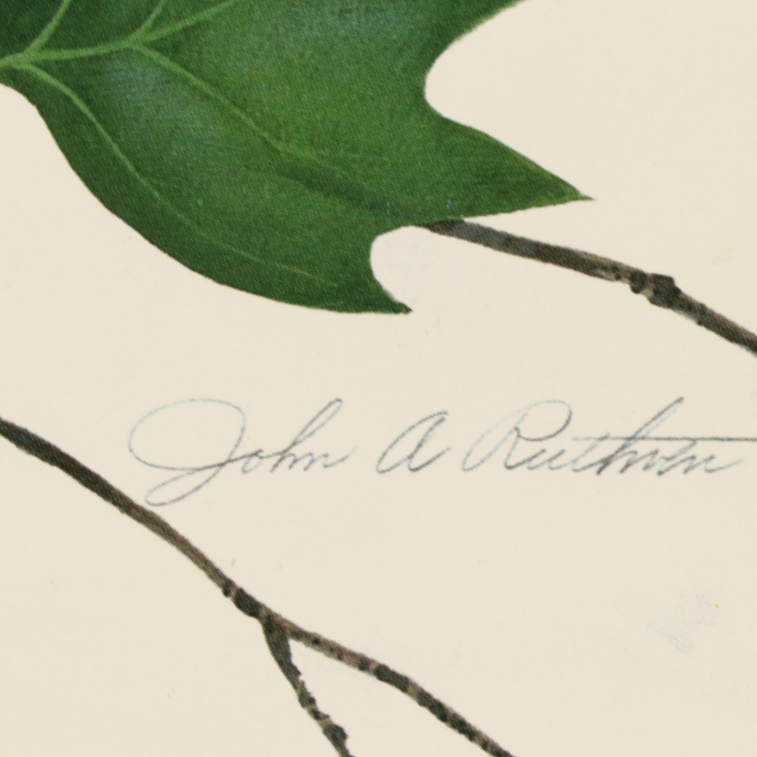 Cincinnati Art Museum Exhibition Posters After John Ruthven and More