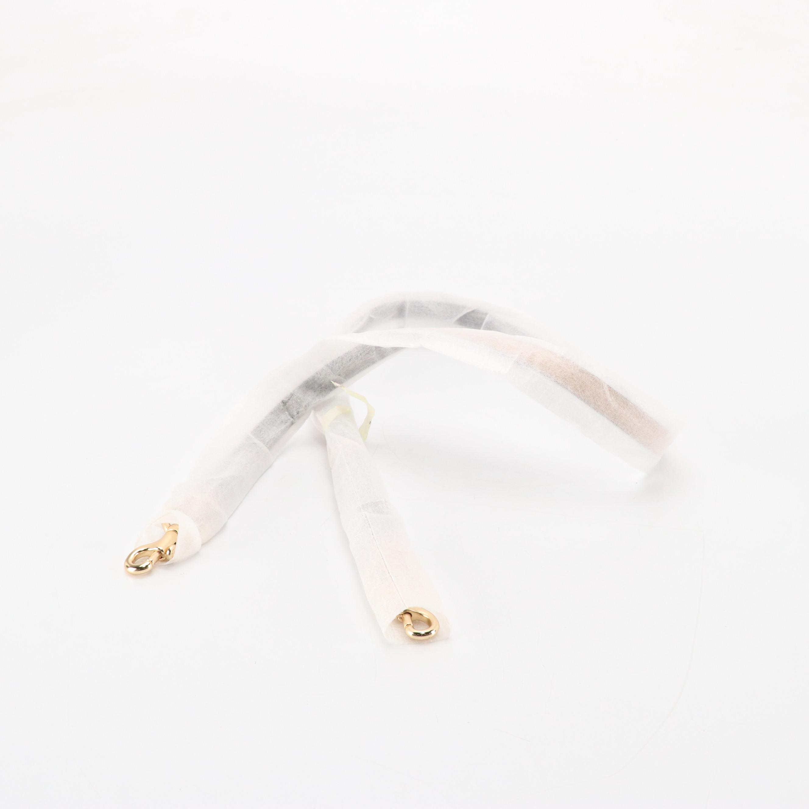 Coach x Selena Gomez Bond Bag 39288 and Coach Safari Mini Bag CW643