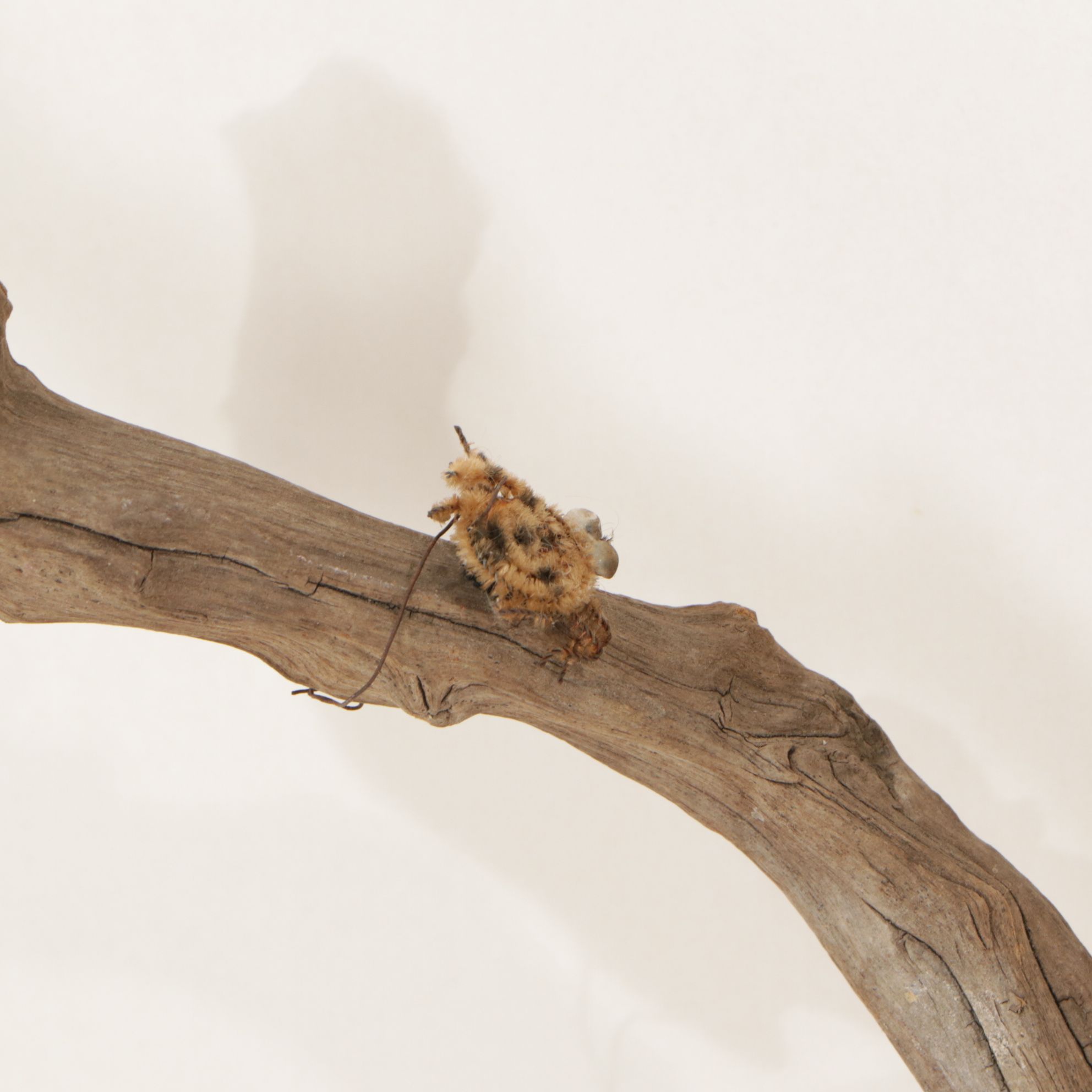 Rustic Tree Branch with Sitting Birds Hand-Crafted Sculpture