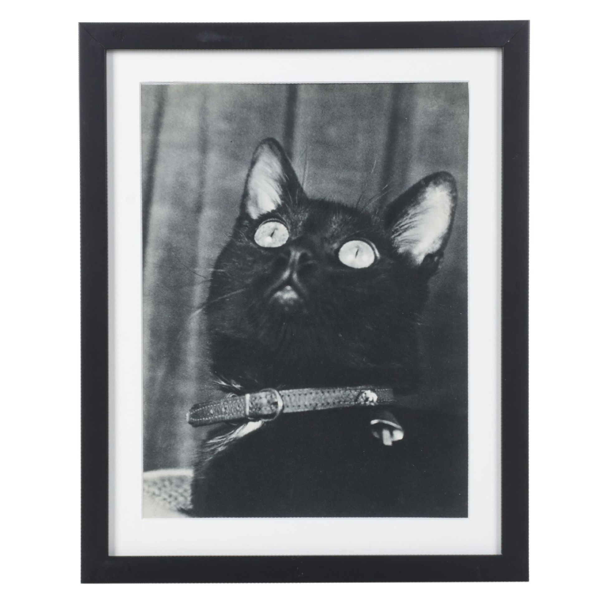 Georges Martin Photolithograph "Black Cat" Paris, 1940