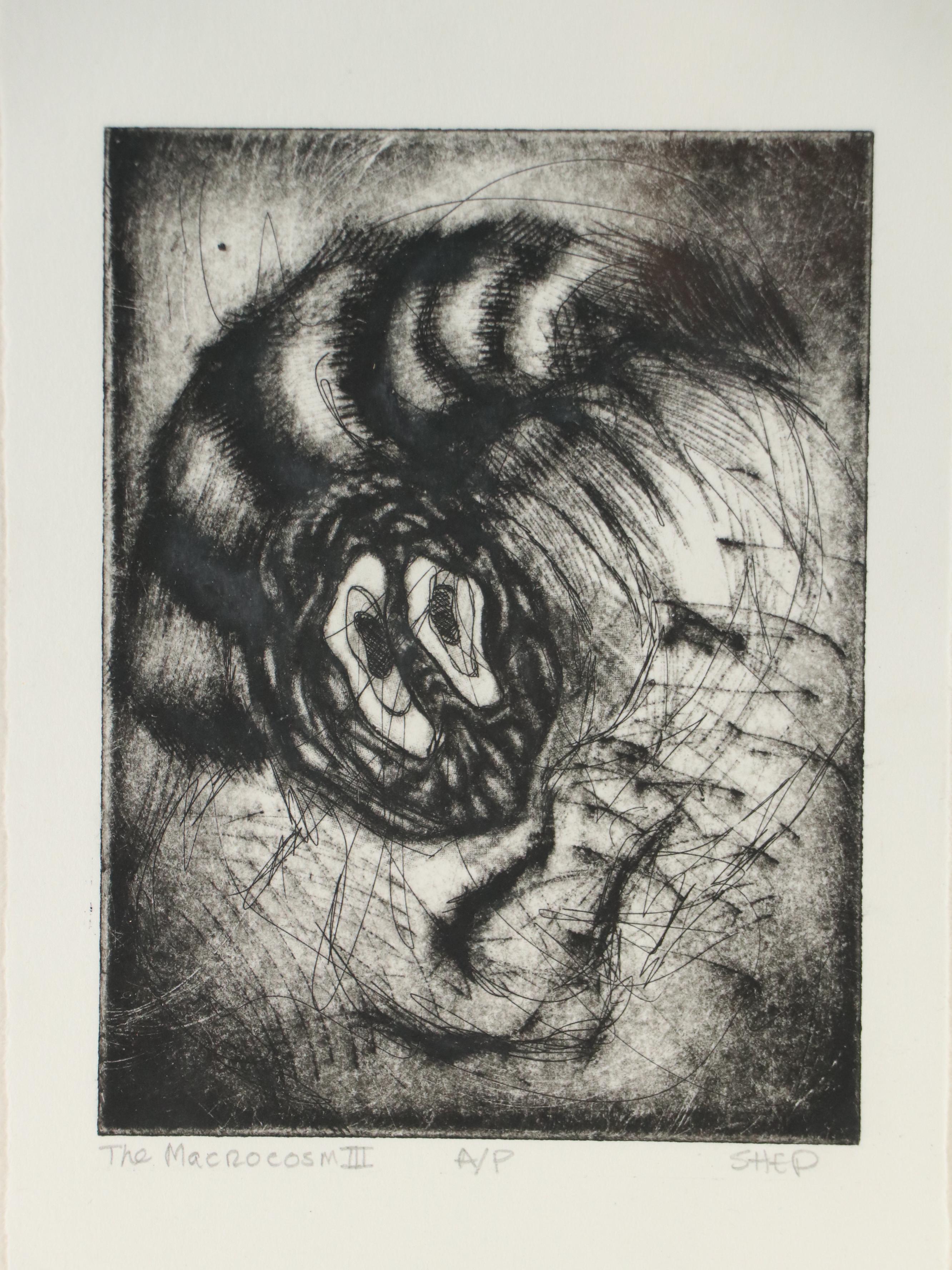 Alison Shepard Etching "The Macrocosm III," 21st Century