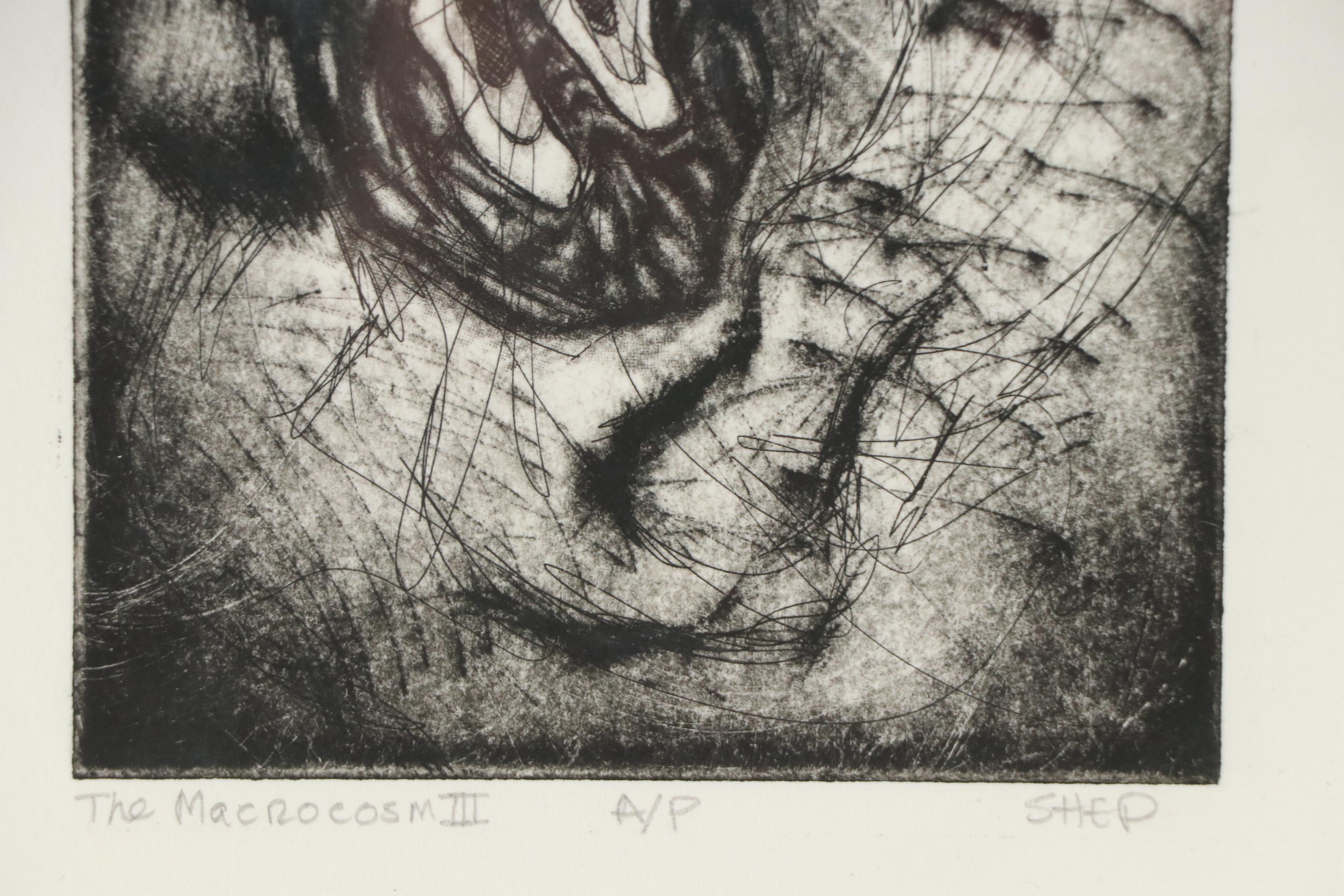Alison Shepard Etching "The Macrocosm III," 21st Century