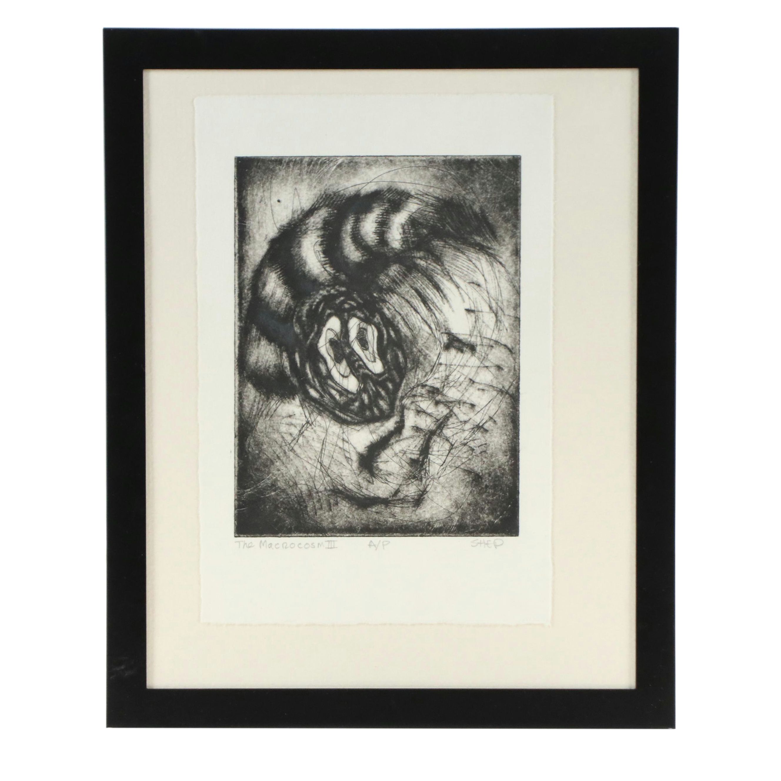 Alison Shepard Etching "The Macrocosm III," 21st Century
