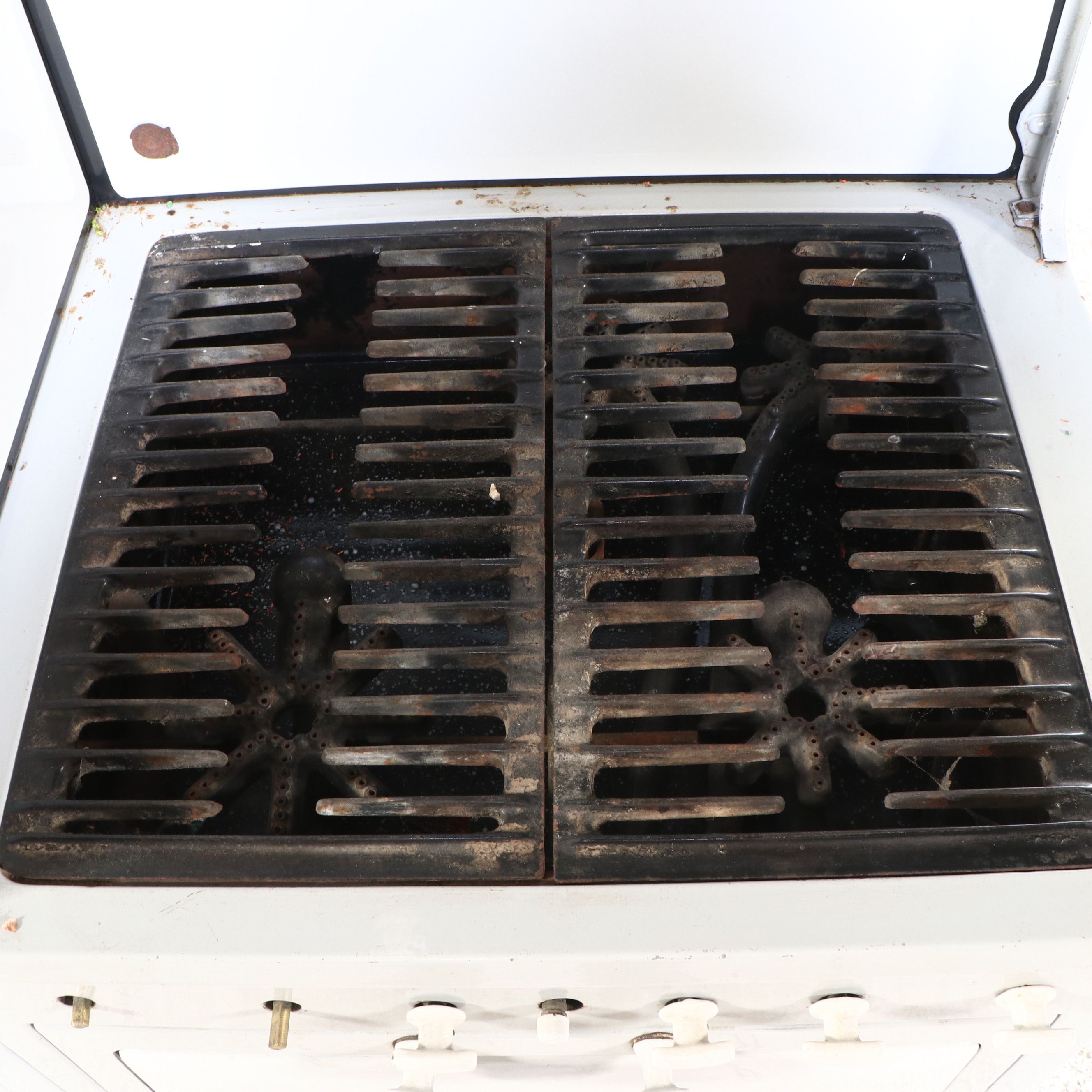 Michigan Stove Co. Detroit Jewel Enameled Gas Stove