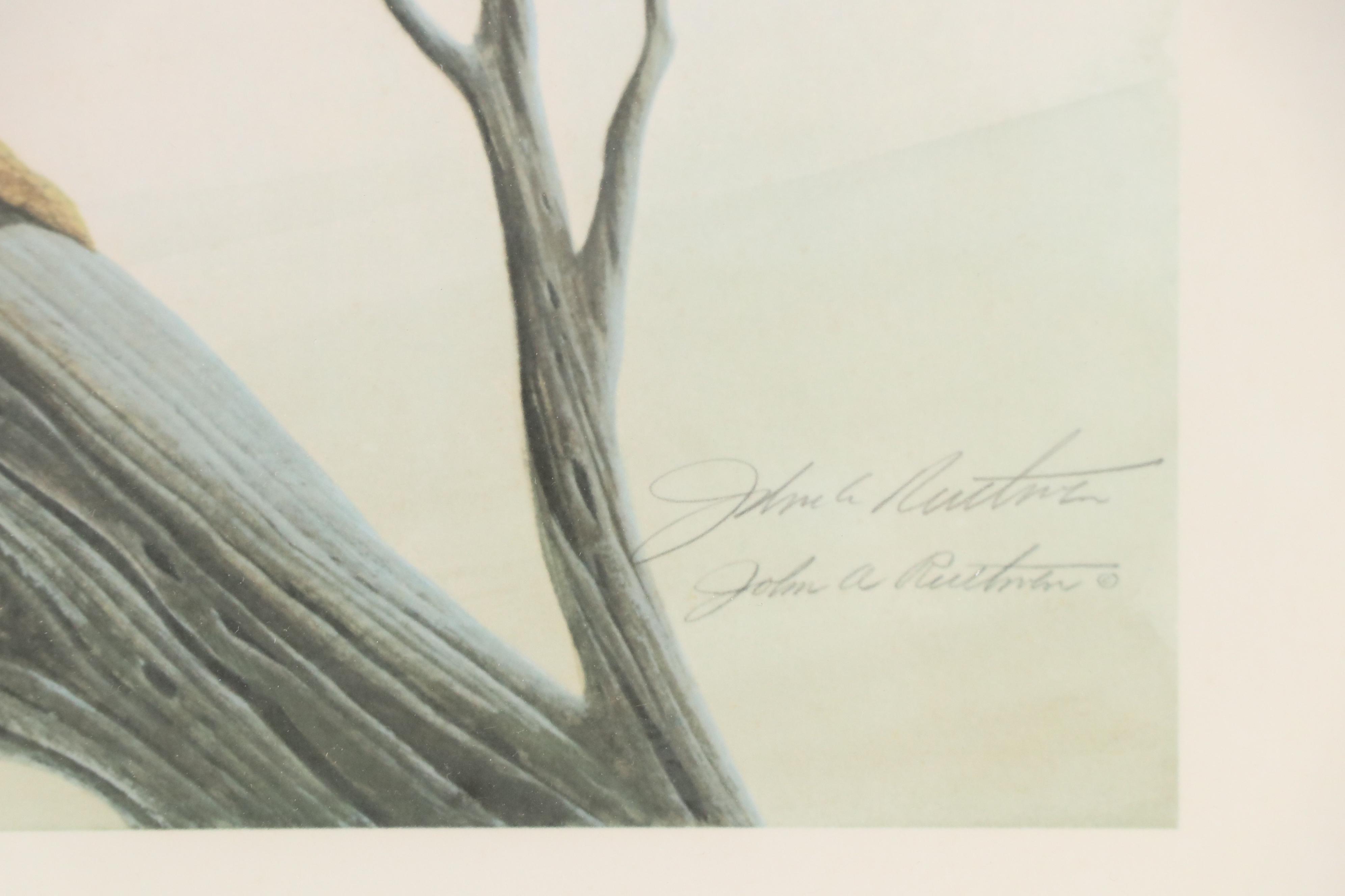 John Ruthven Offset Lithograph "Peregrine Falcon"