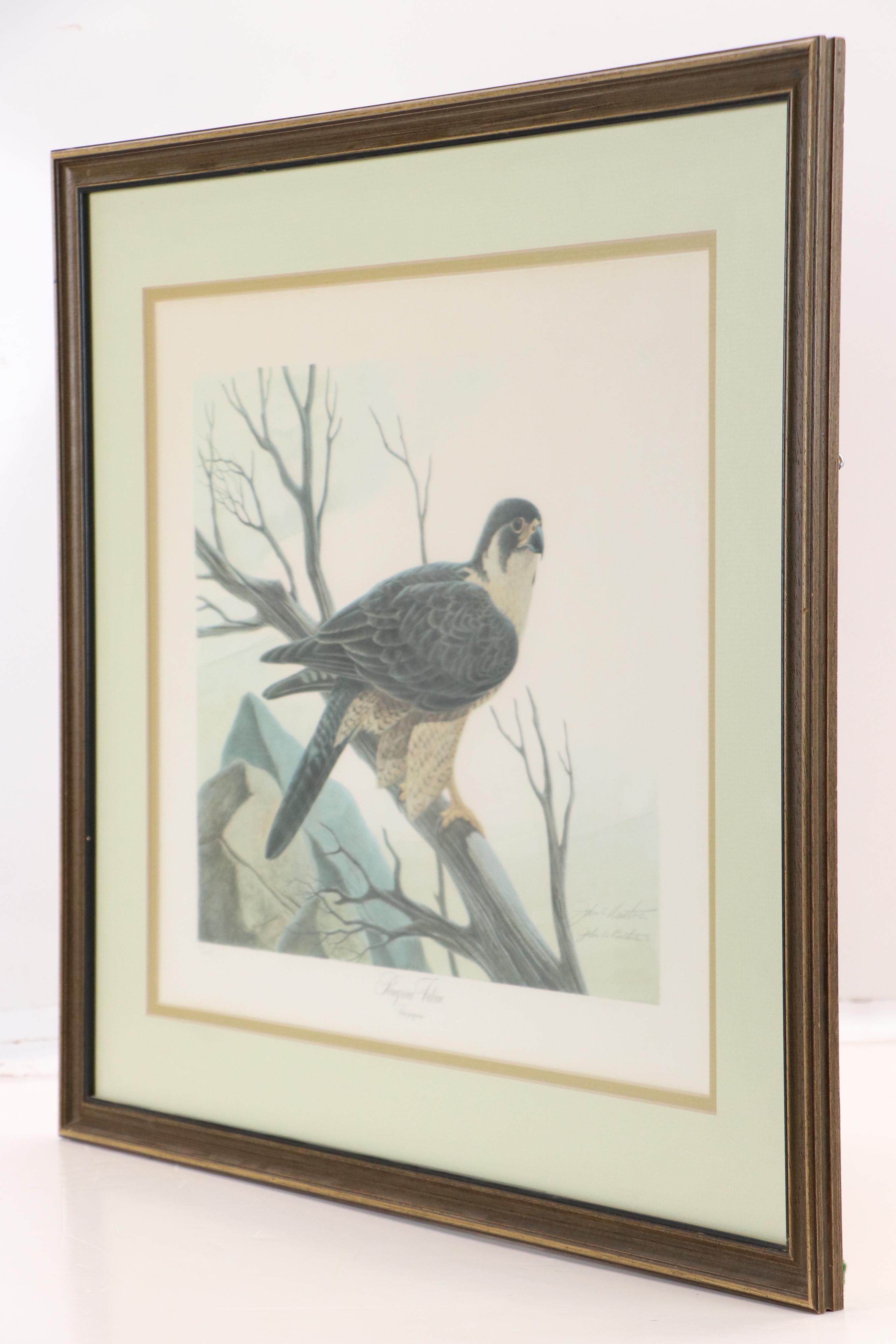 John Ruthven Offset Lithograph "Peregrine Falcon"
