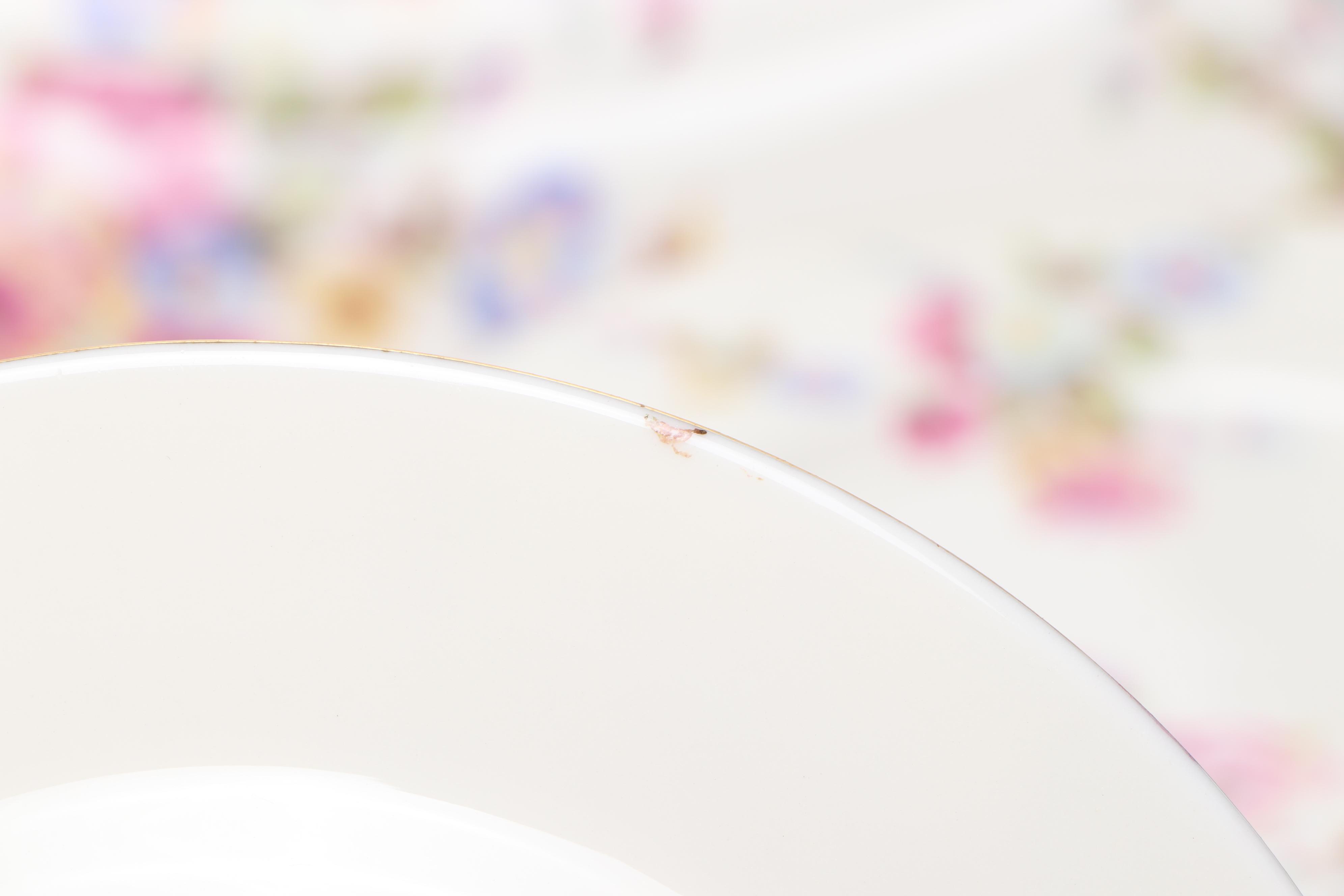 Castleton "Sunnybrooke" Porcelain Dinnerware