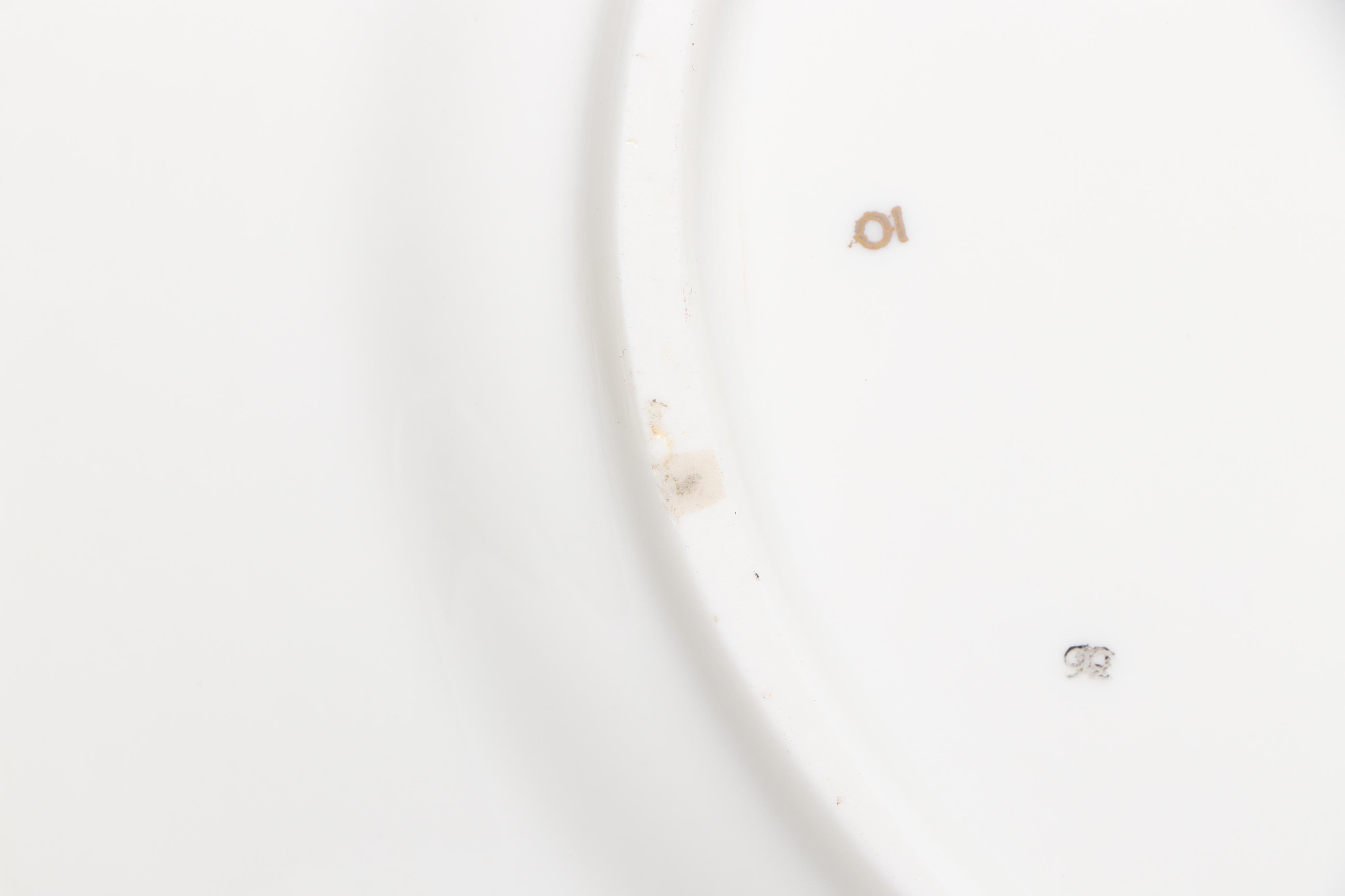 Castleton "Sunnybrooke" Porcelain Dinnerware