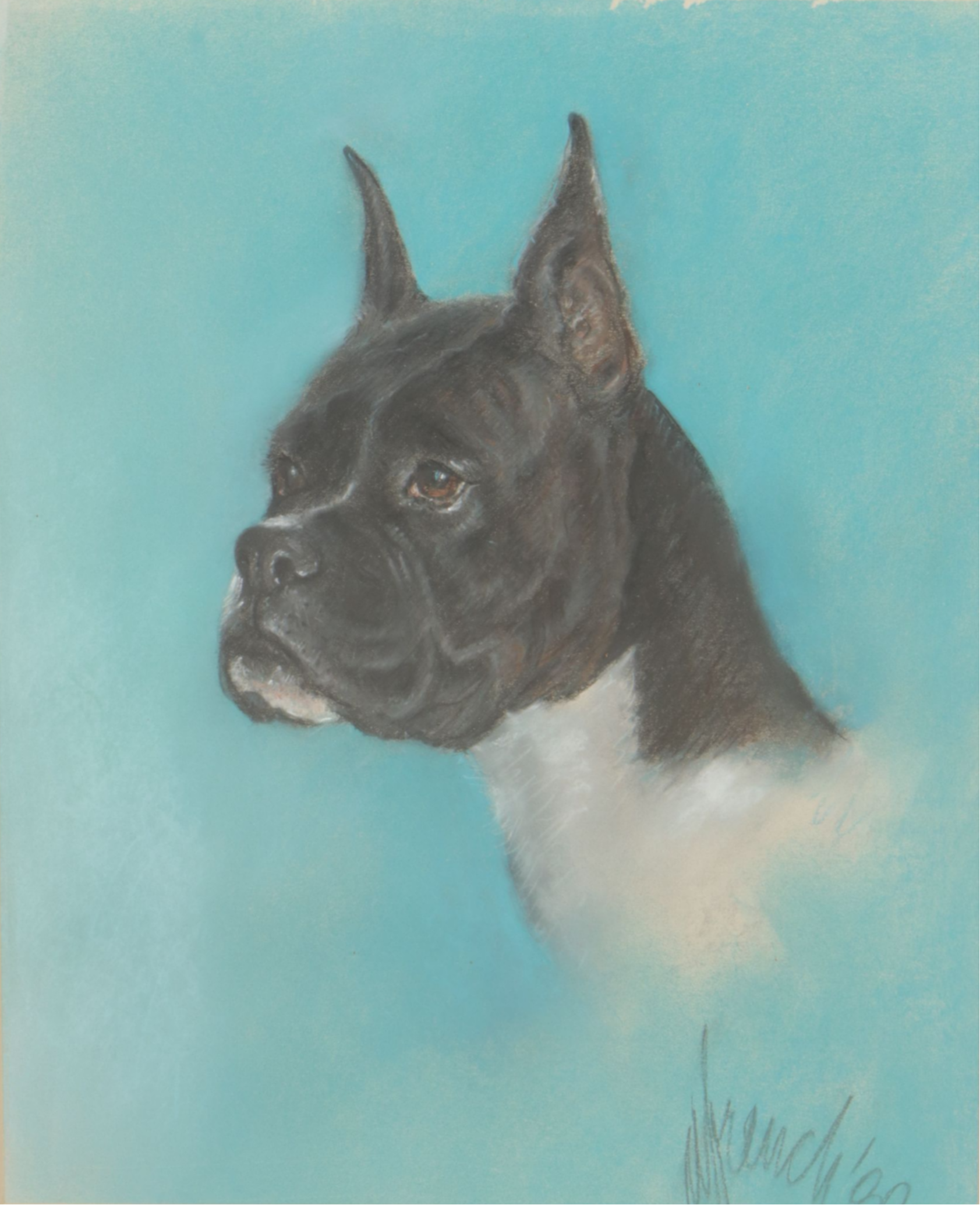 Oil Pastel Portrait Drawing of a Boxer Dog's Side Profile, 1980