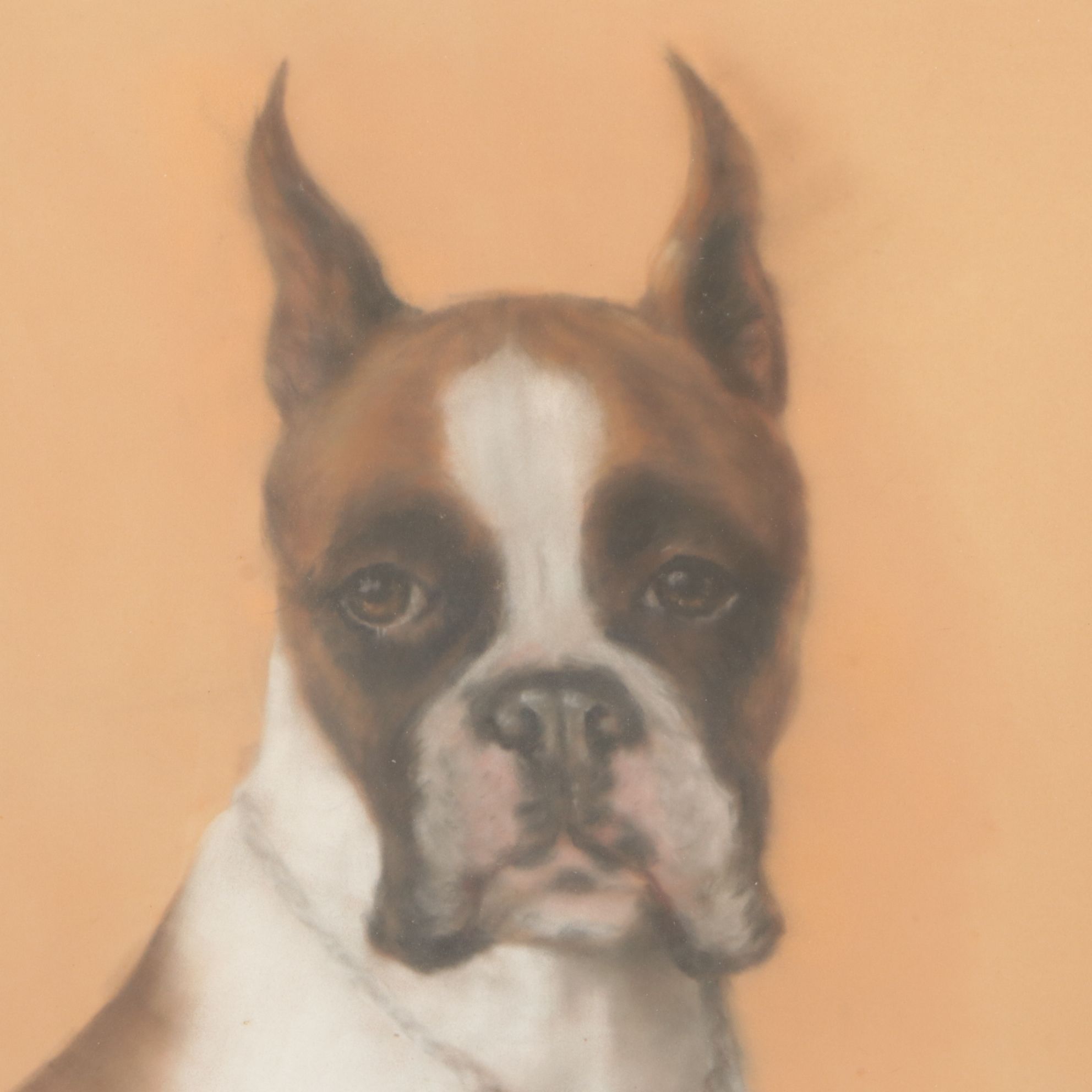 Oil Pastel Portrait Drawing of Seated Boxer Dog, 1971