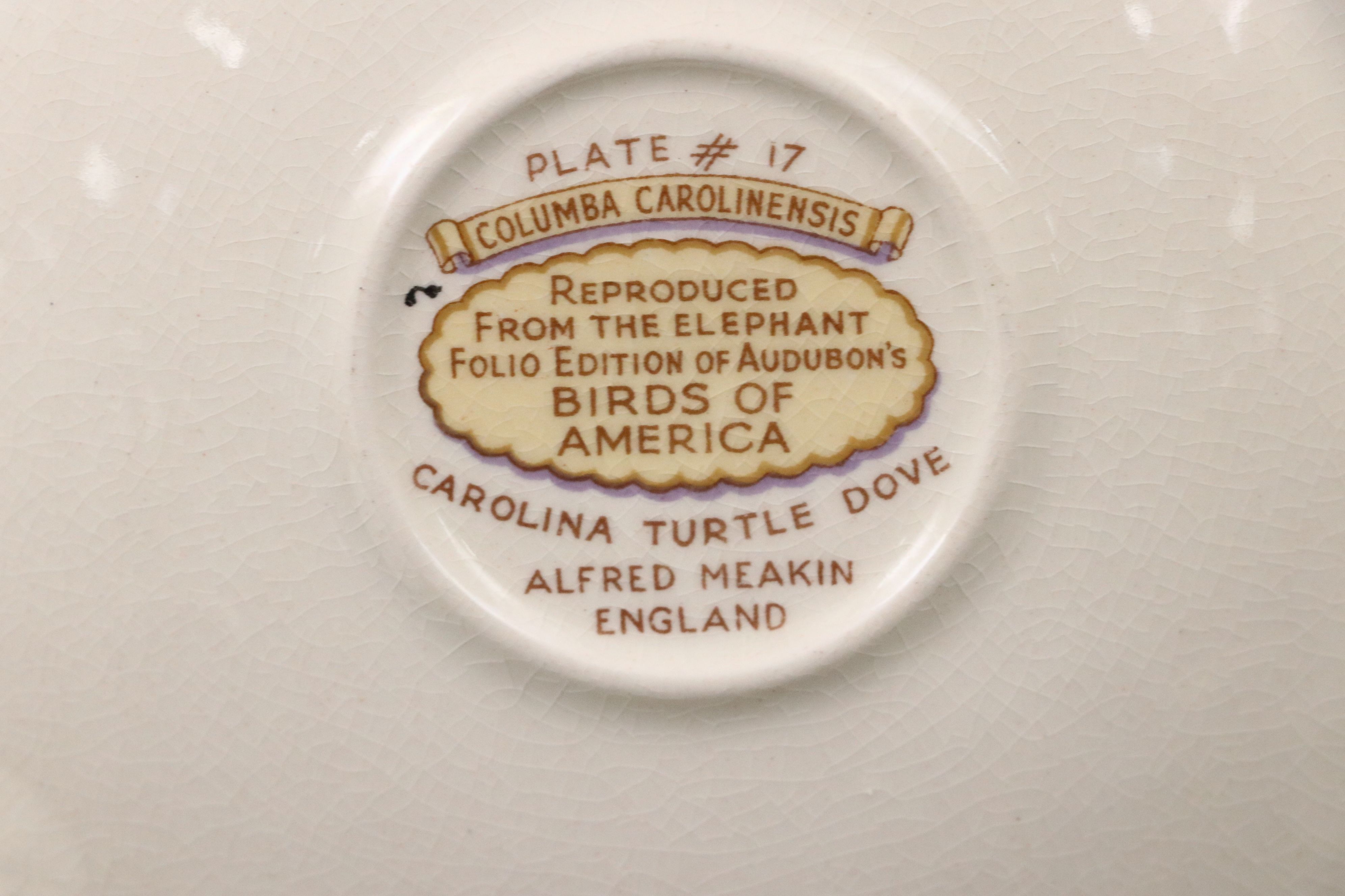 Alfred Meakin "Birds of America" National Audubon Society Porcelain Plates