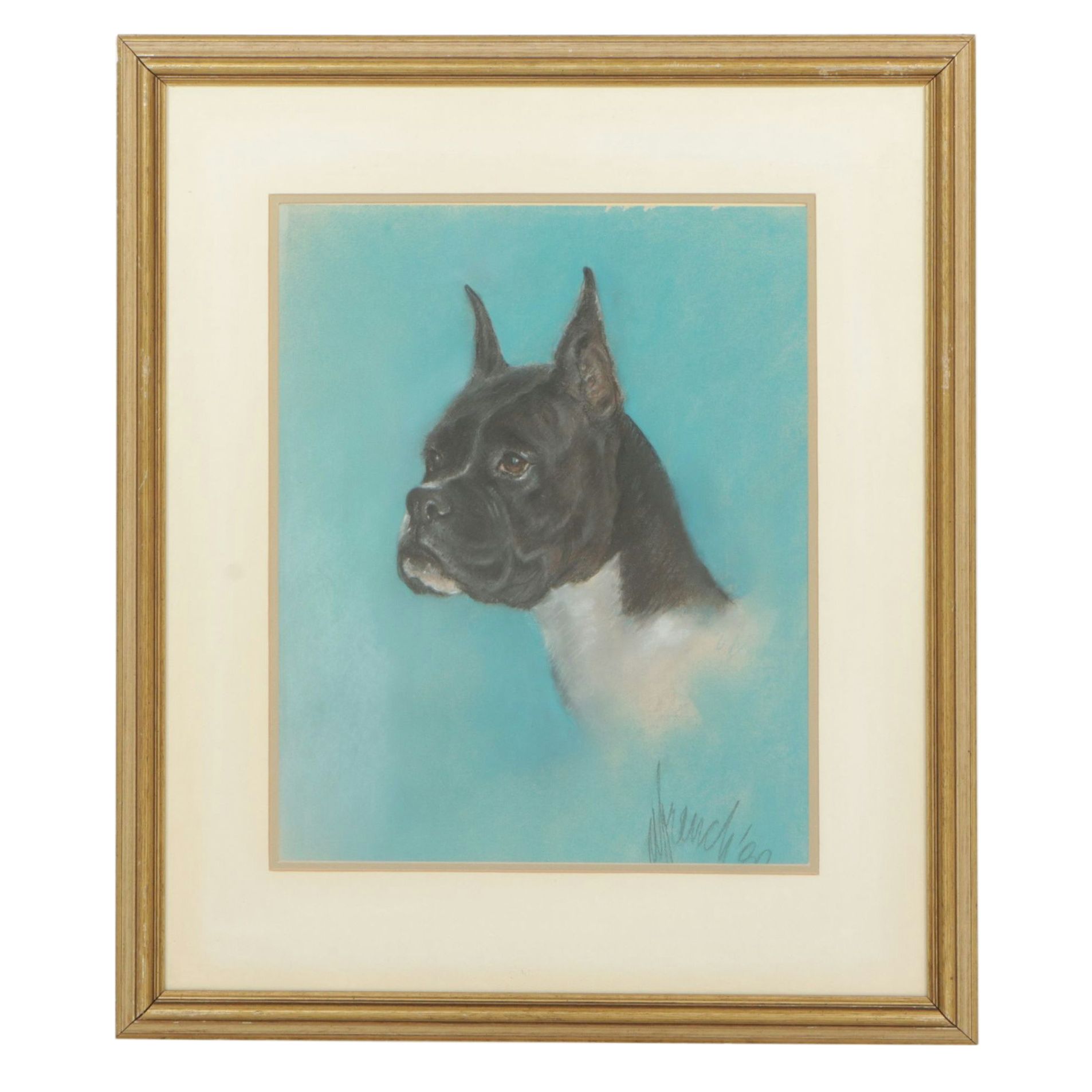 Oil Pastel Portrait Drawing of a Boxer Dog's Side Profile, 1980