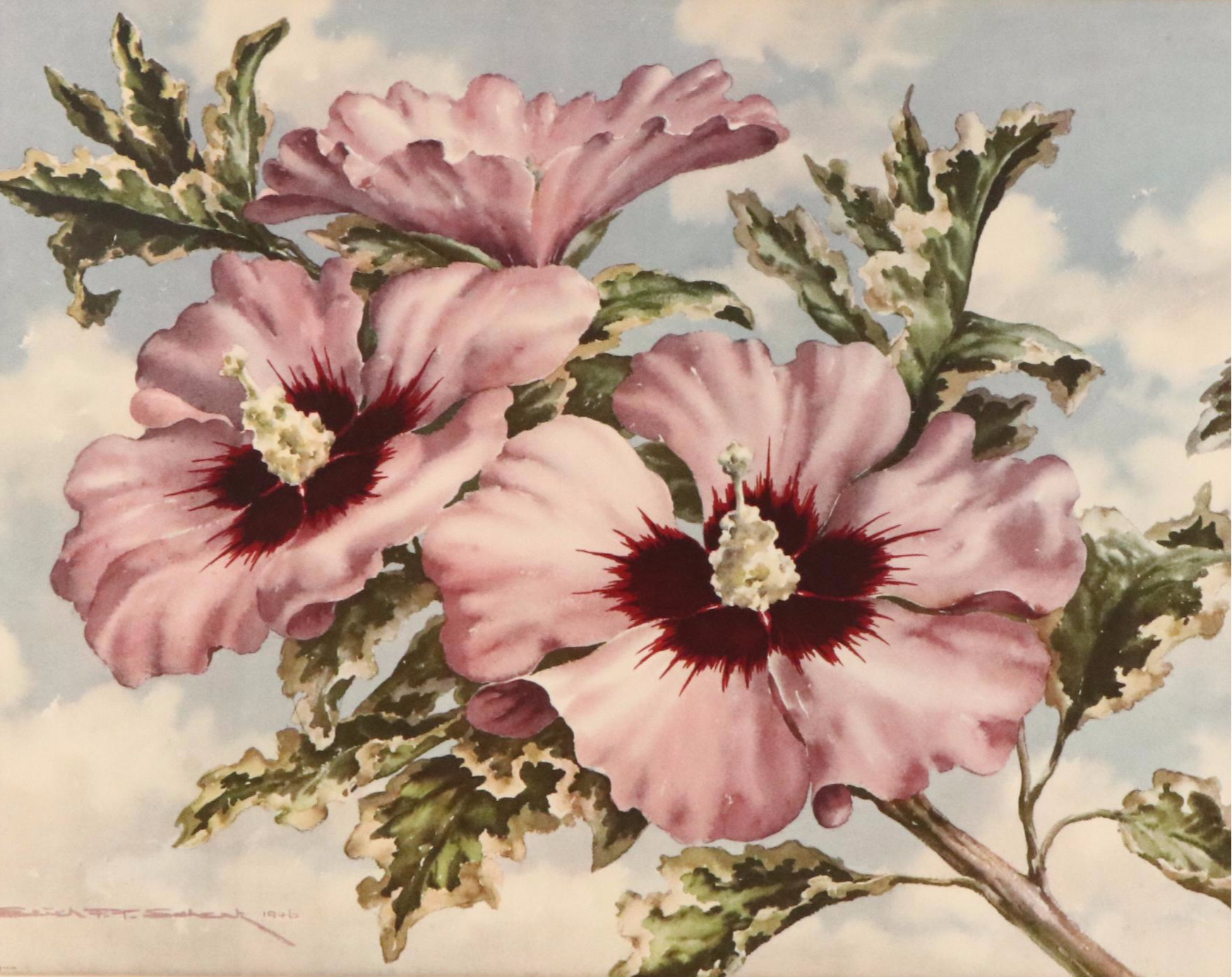Floral Offset Lithograph After Erich F. T. Schenk "Sky Hibiscus"