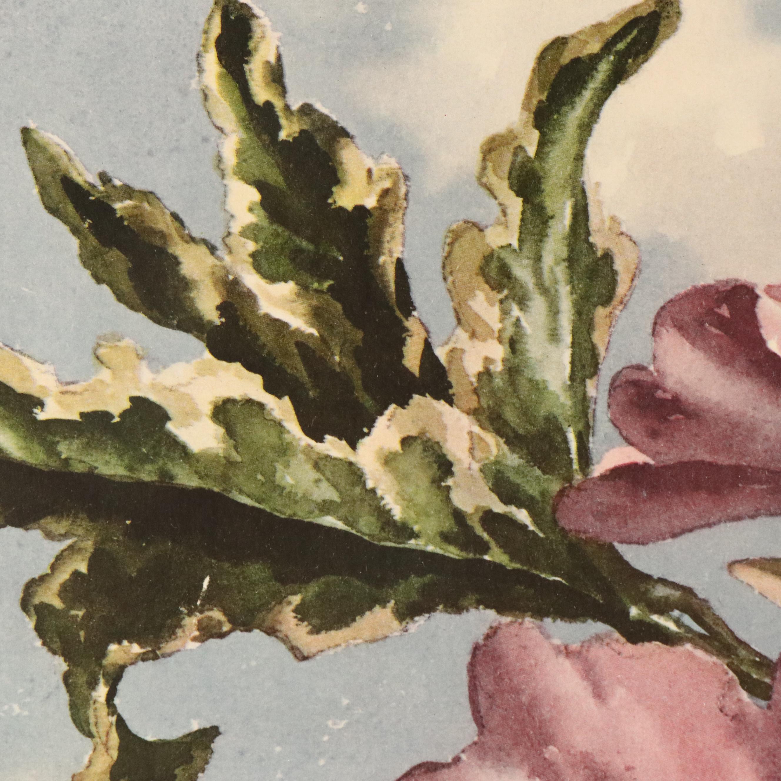 Floral Offset Lithograph After Erich F. T. Schenk "Sky Hibiscus"