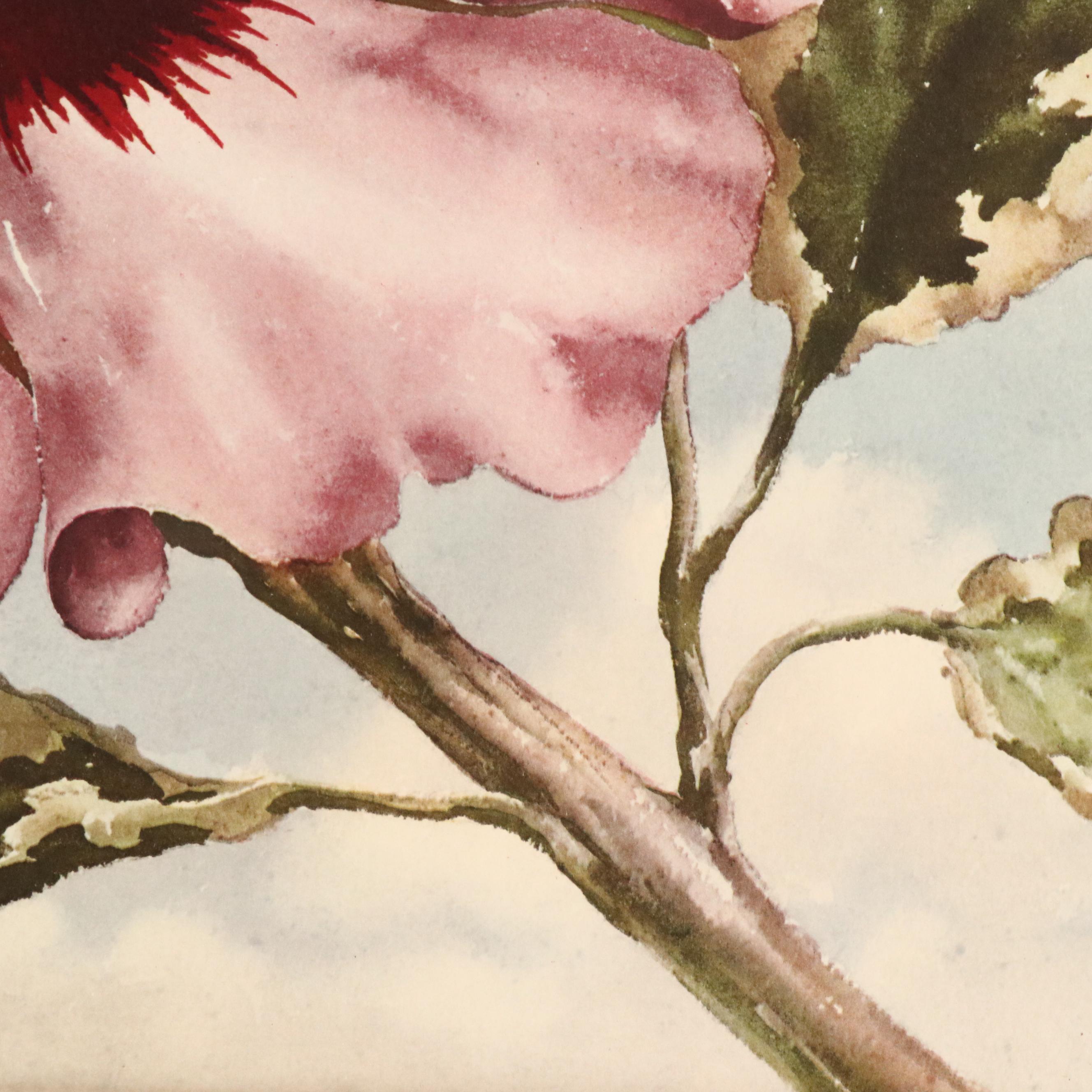 Floral Offset Lithograph After Erich F. T. Schenk "Sky Hibiscus"