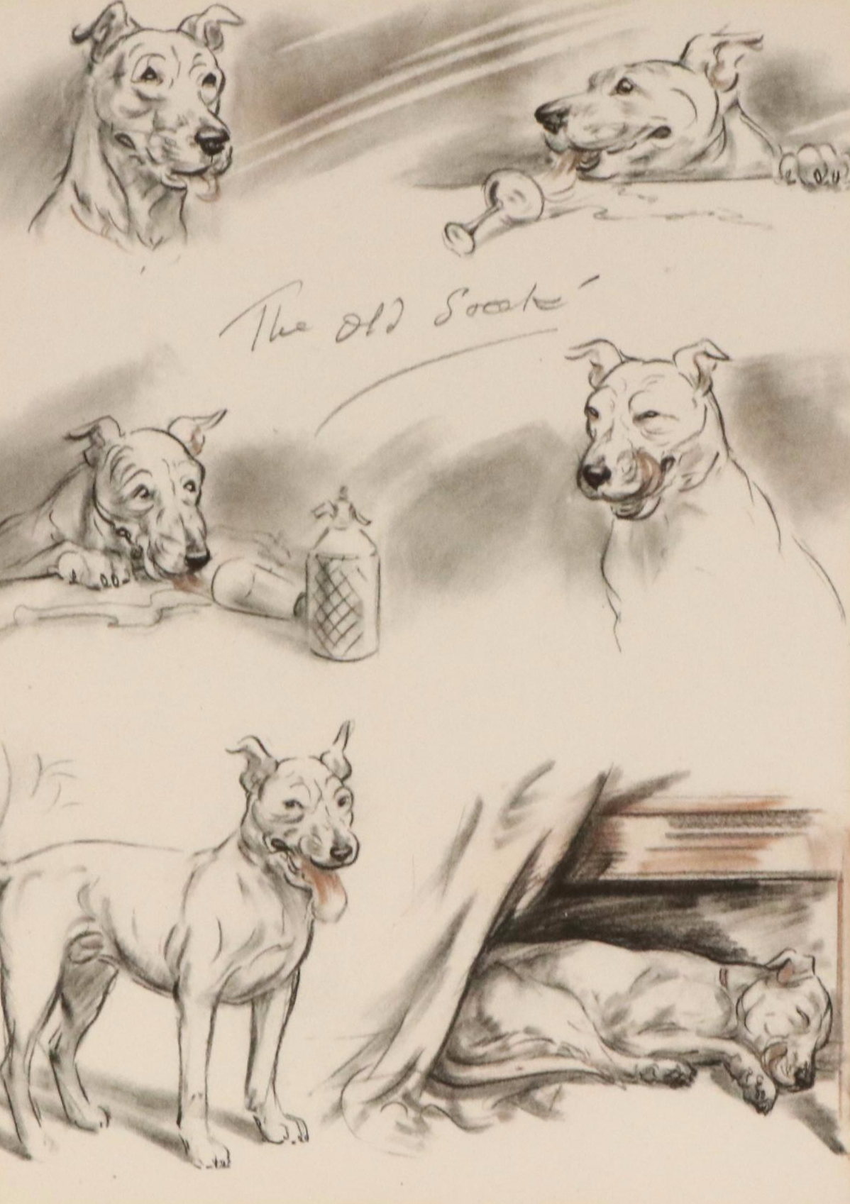 Offset Lithograph and Halftone Illustrations of Bull Terriers, 20th Century