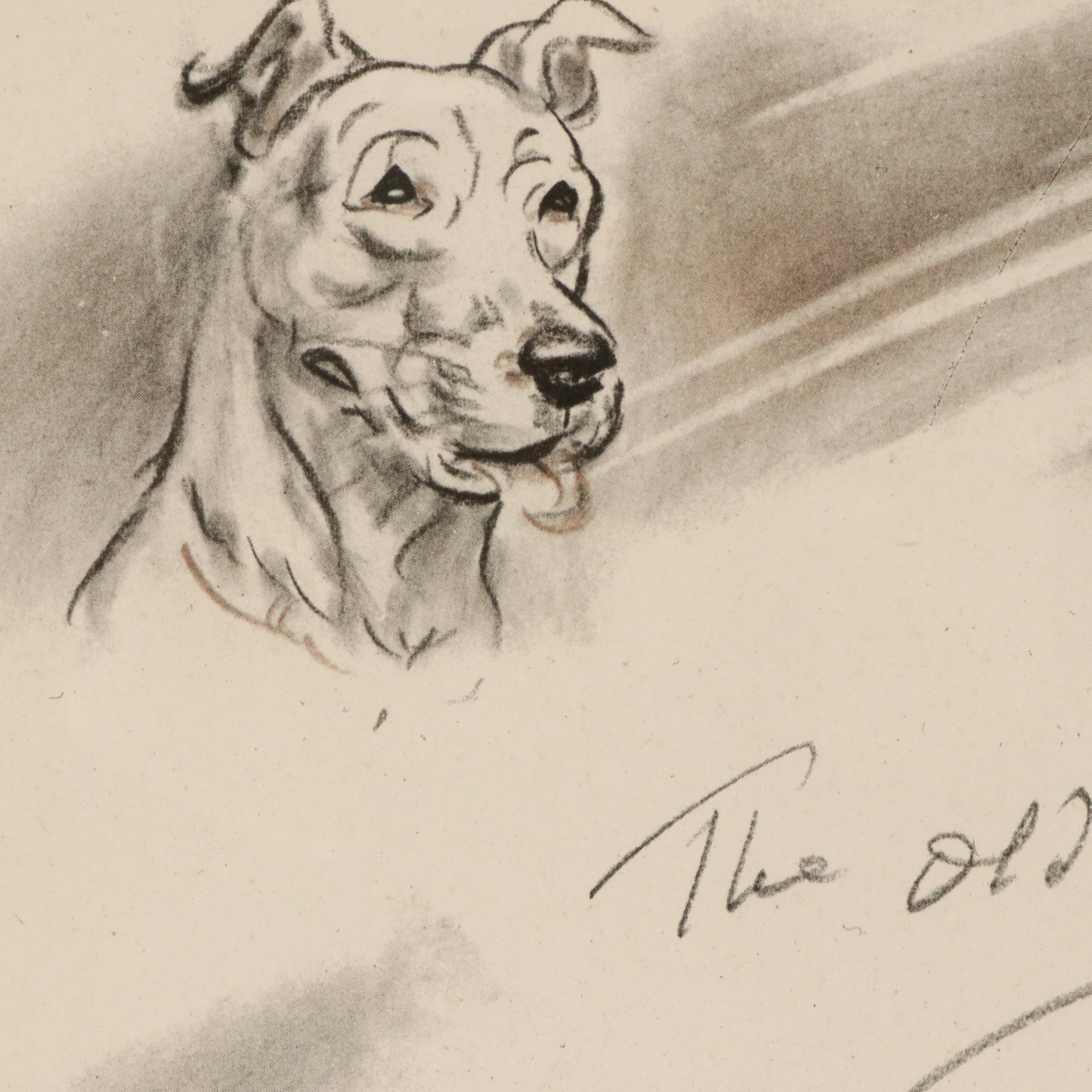 Offset Lithograph and Halftone Illustrations of Bull Terriers, 20th Century