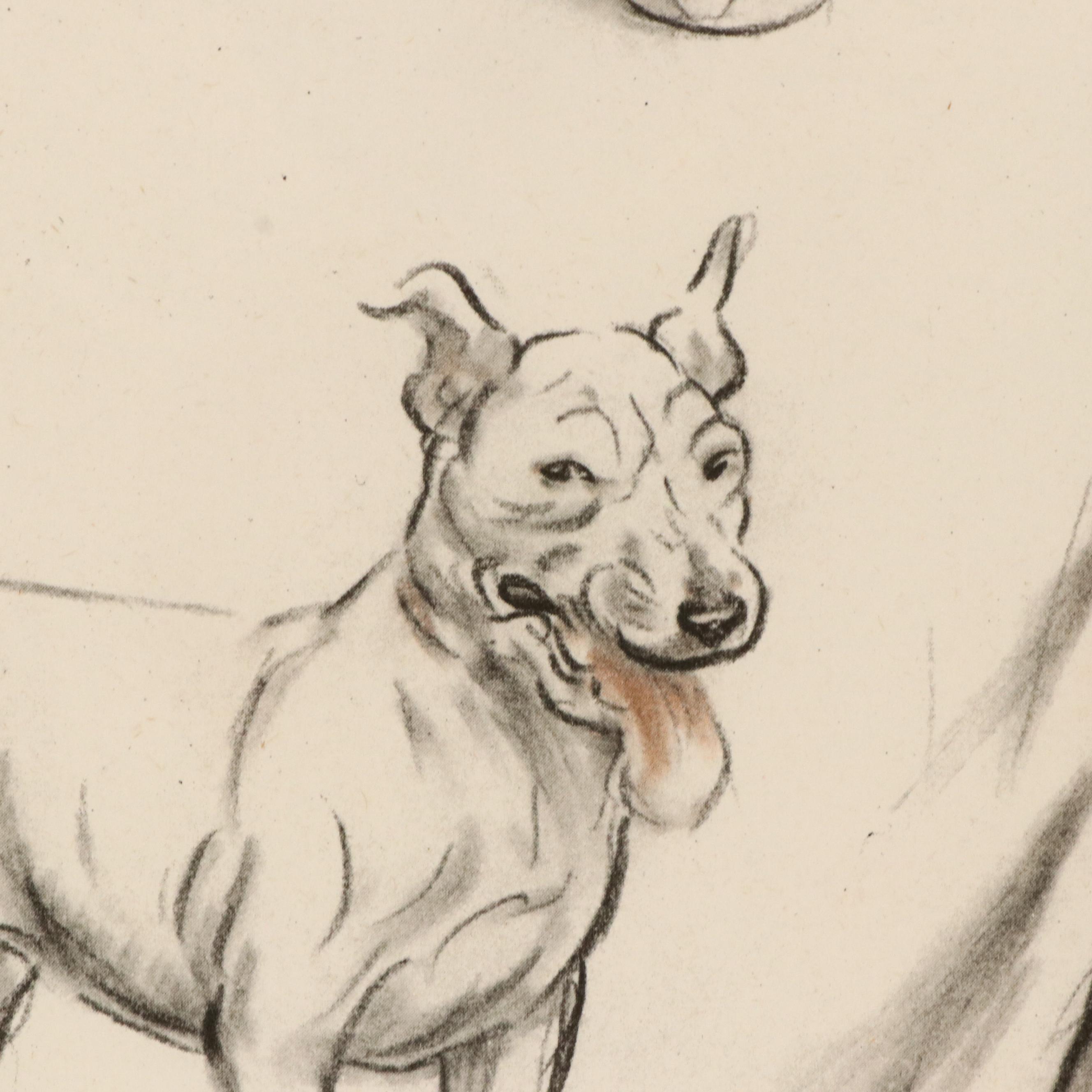 Offset Lithograph and Halftone Illustrations of Bull Terriers, 20th Century